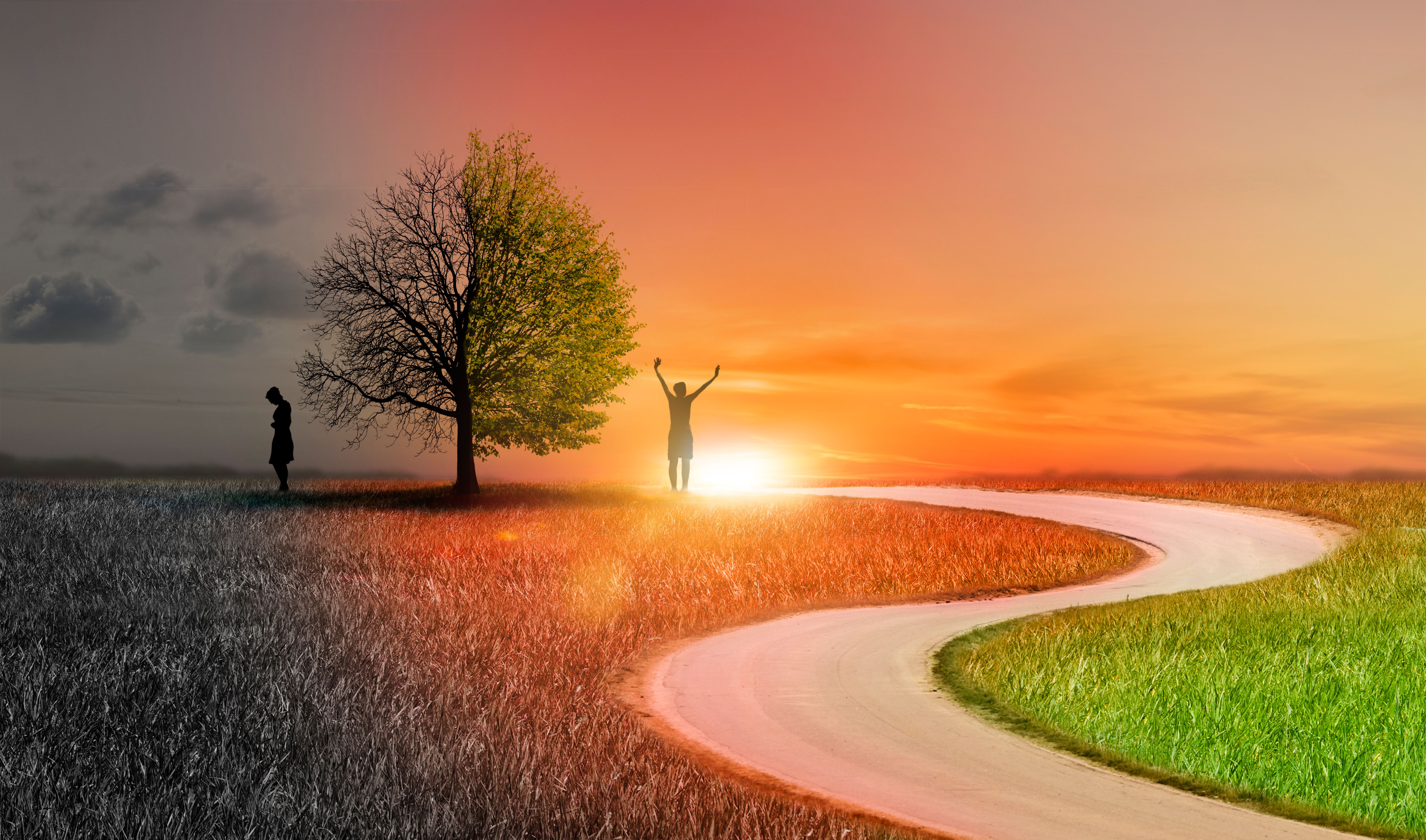 Silhouette of a woman in a landscape with different emotions as a concept Silhouette of a woman in a landscape with different emotions as a concept
