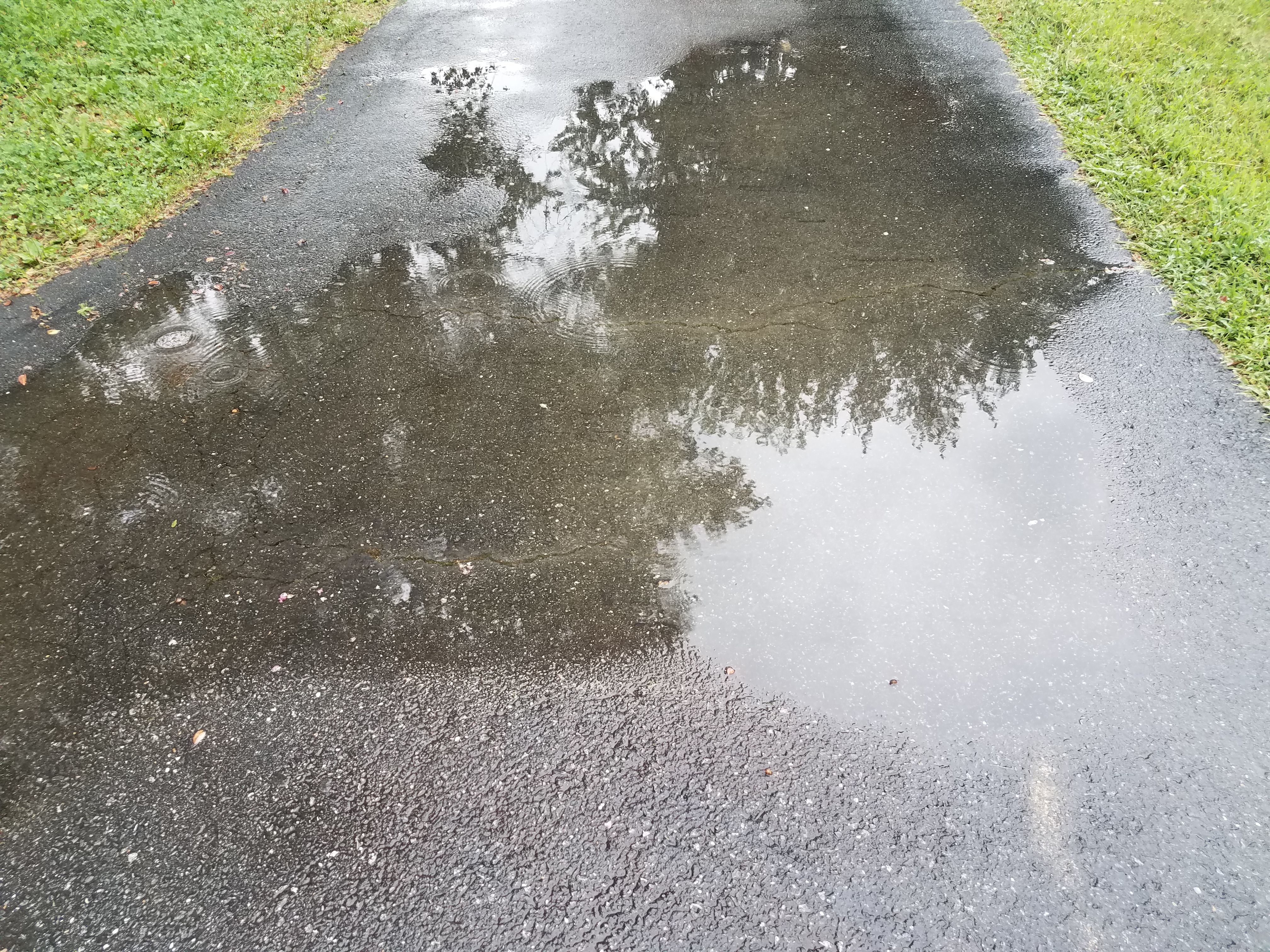 water puddle driveway