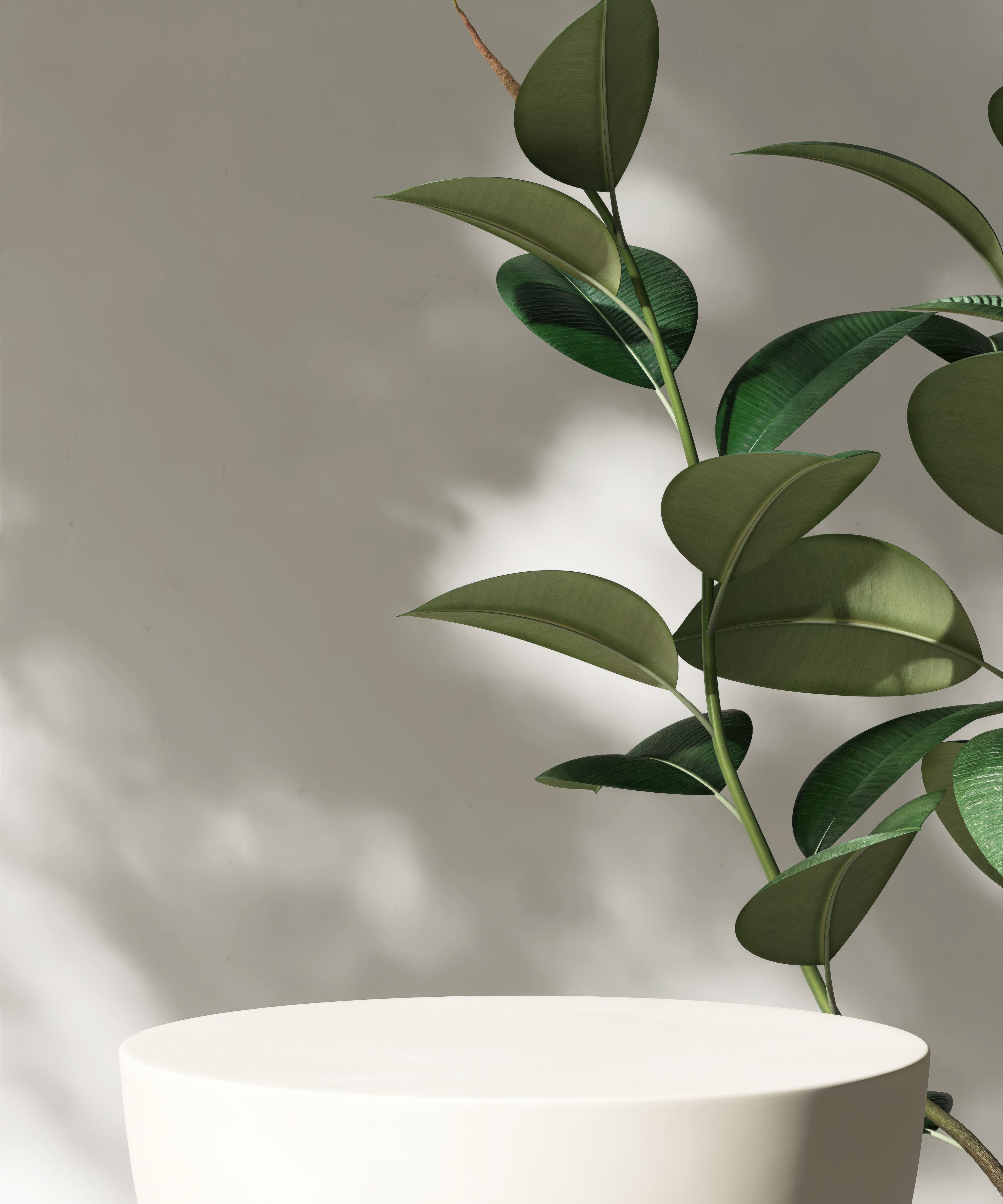 beauty products display