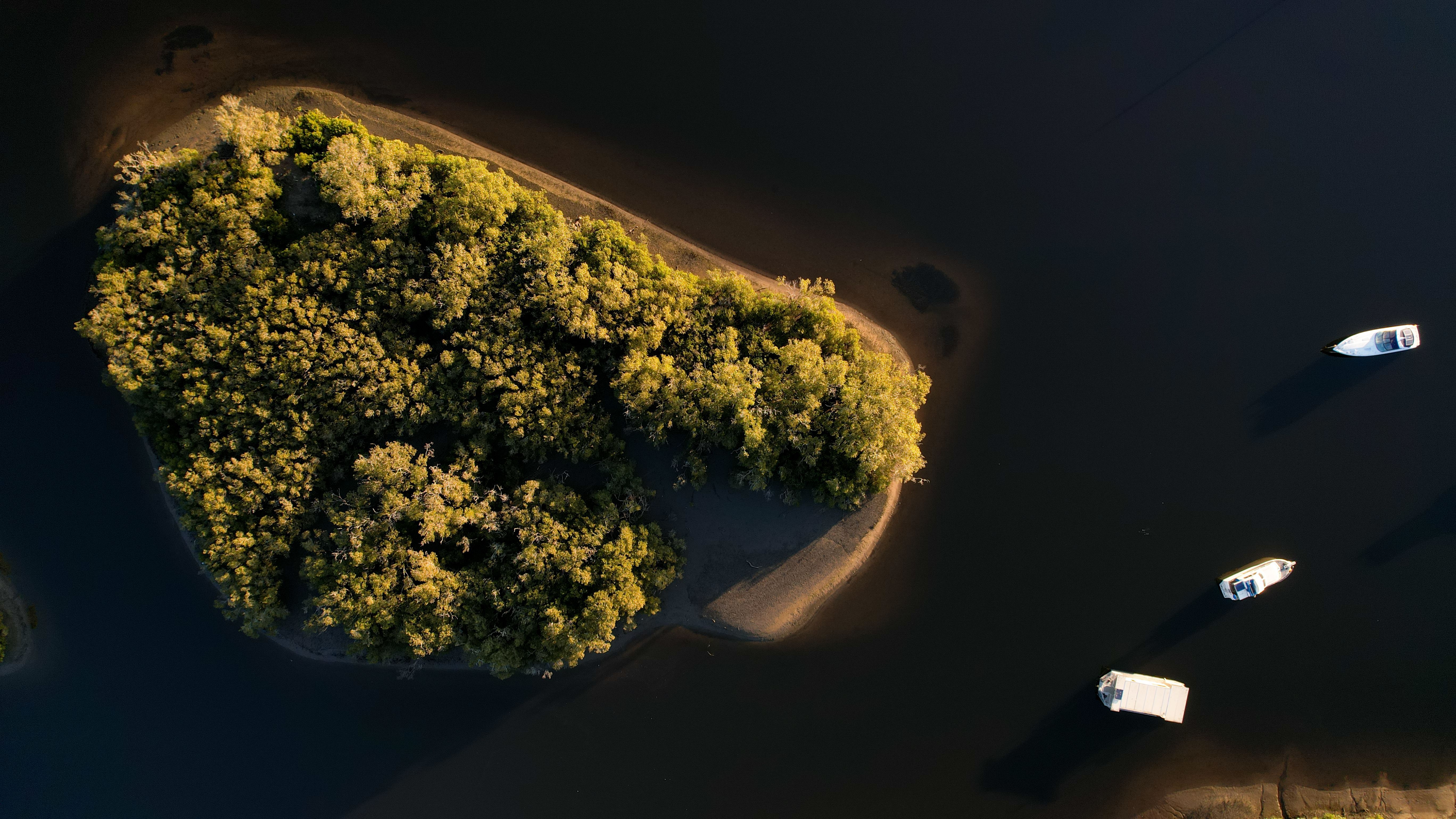 sutherland shire transport