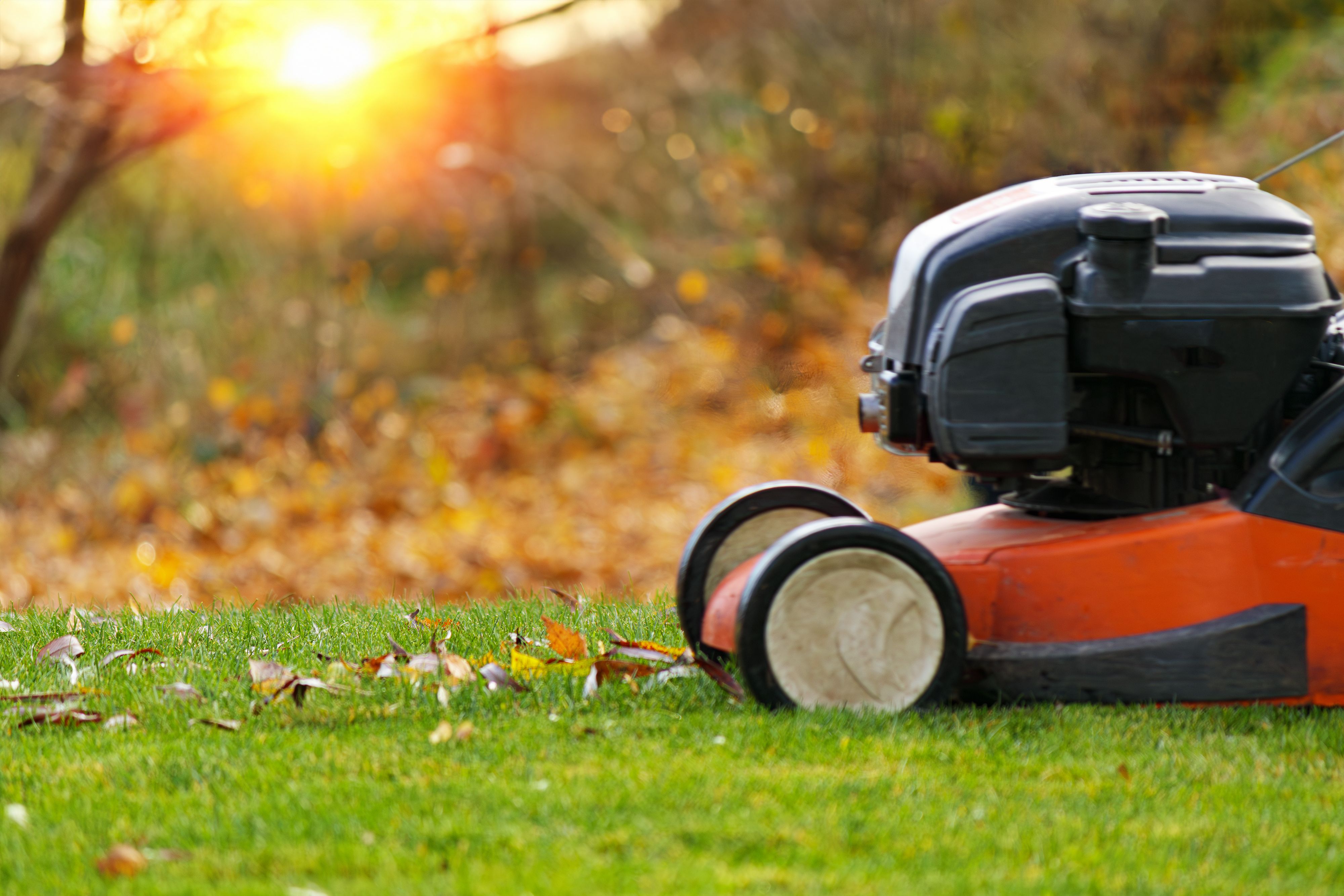 autumn lawn care