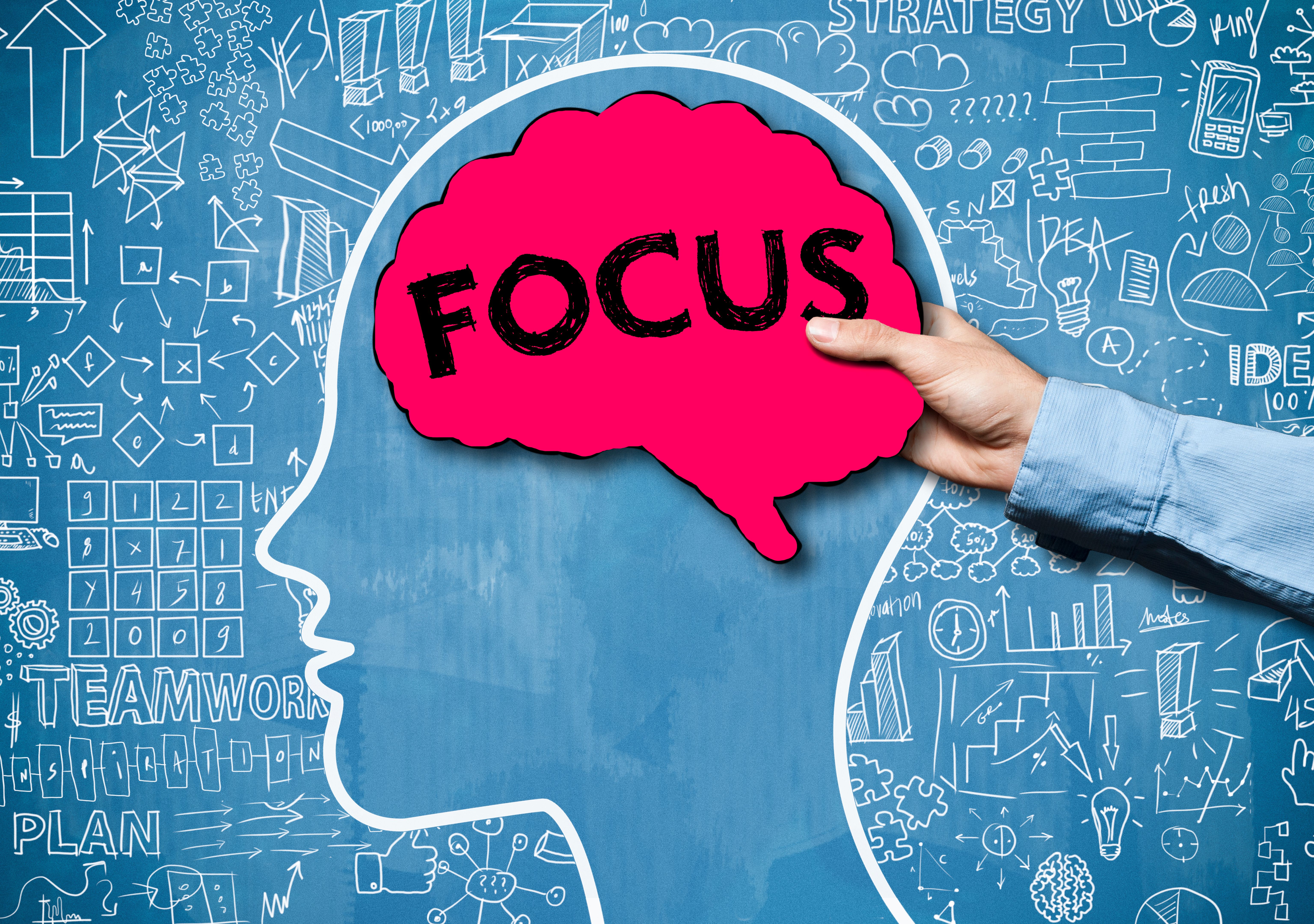 FOCUS / Blue board concept (Click for more) FOCUS / Blue board concept (Click for more)