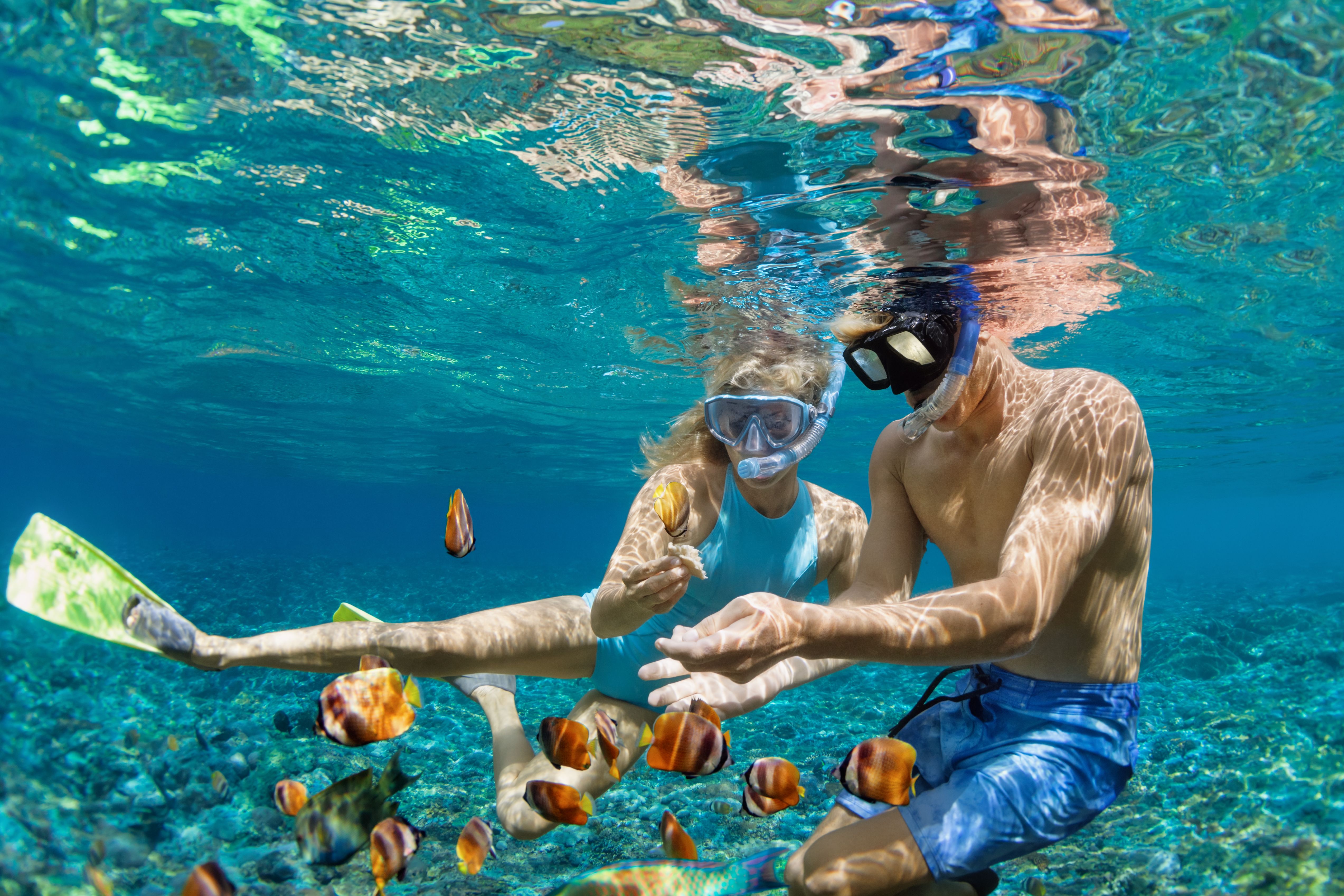 snorkeling hawaii