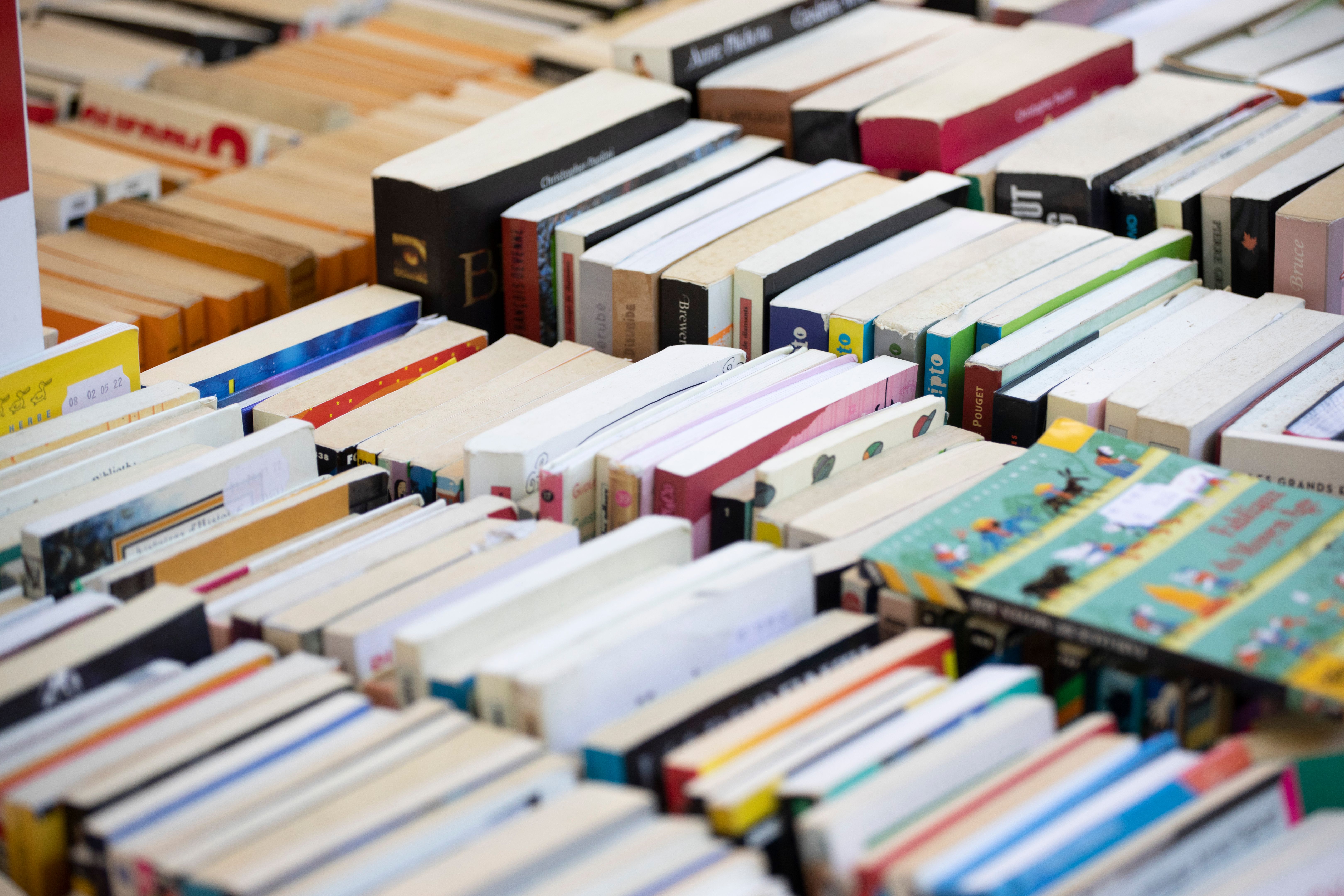 Rows of secondhand books outside a bookshop in Paris