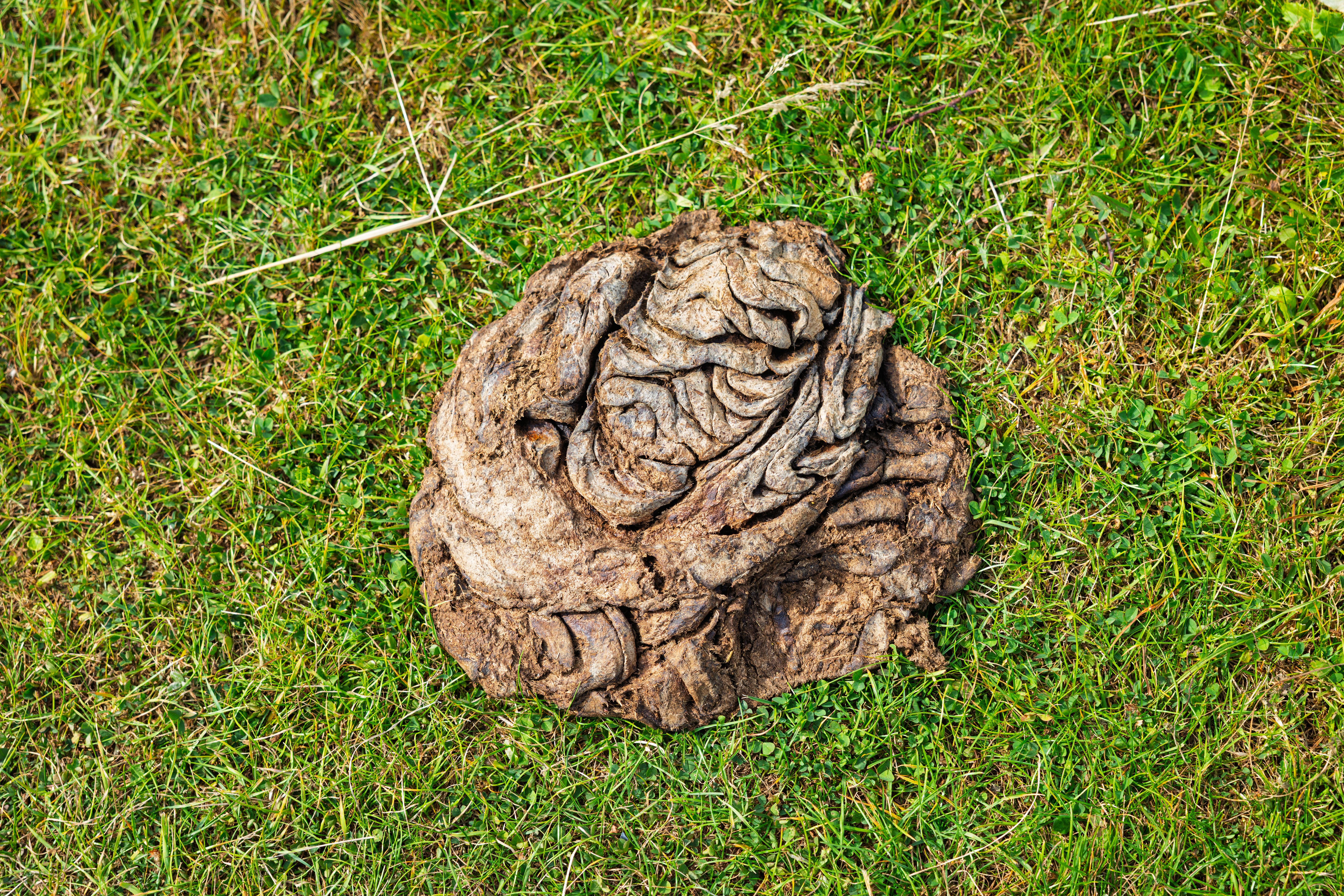 natural fertilization