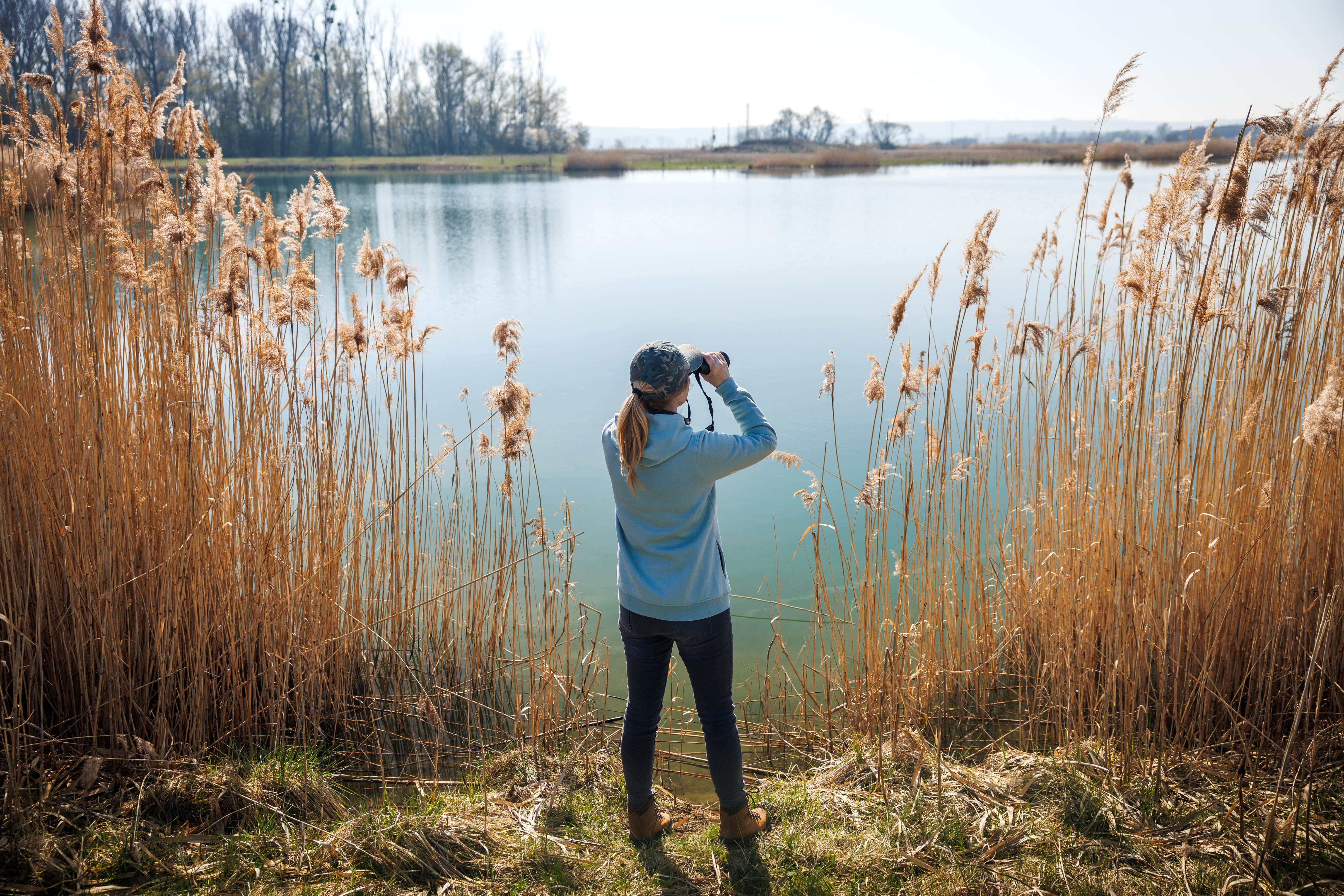 birdwatching nature
