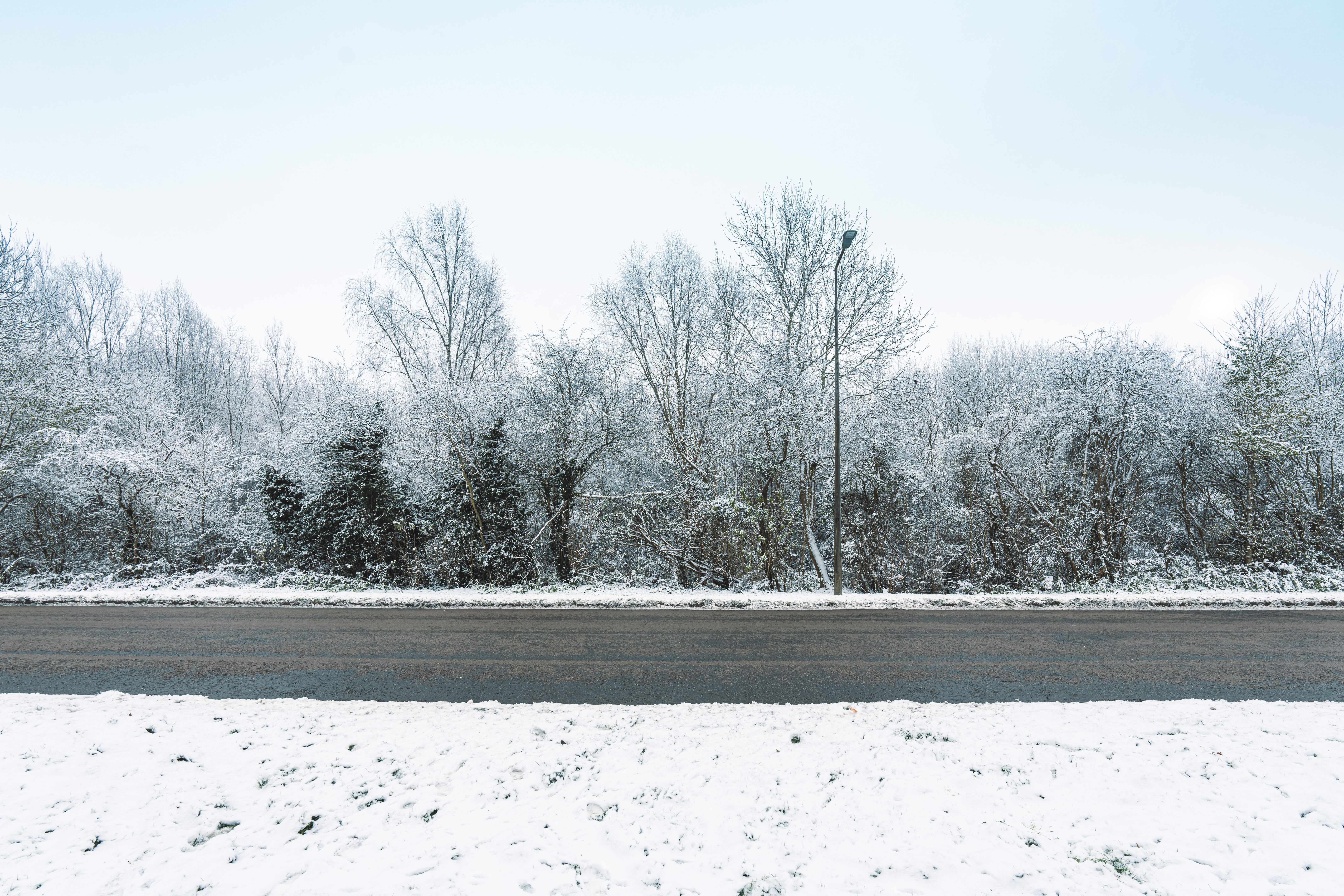 winter roadside