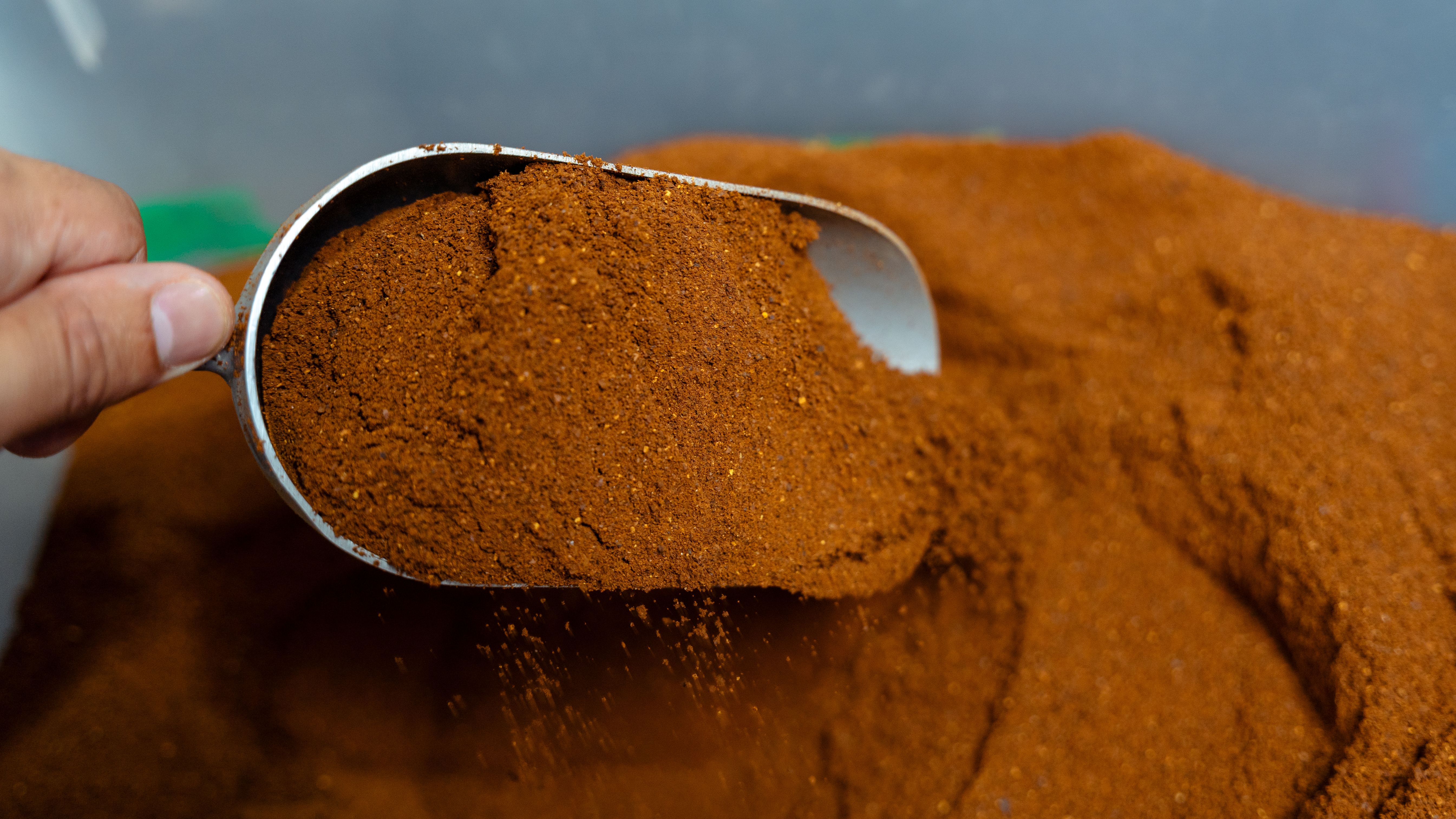 chili powder bulk