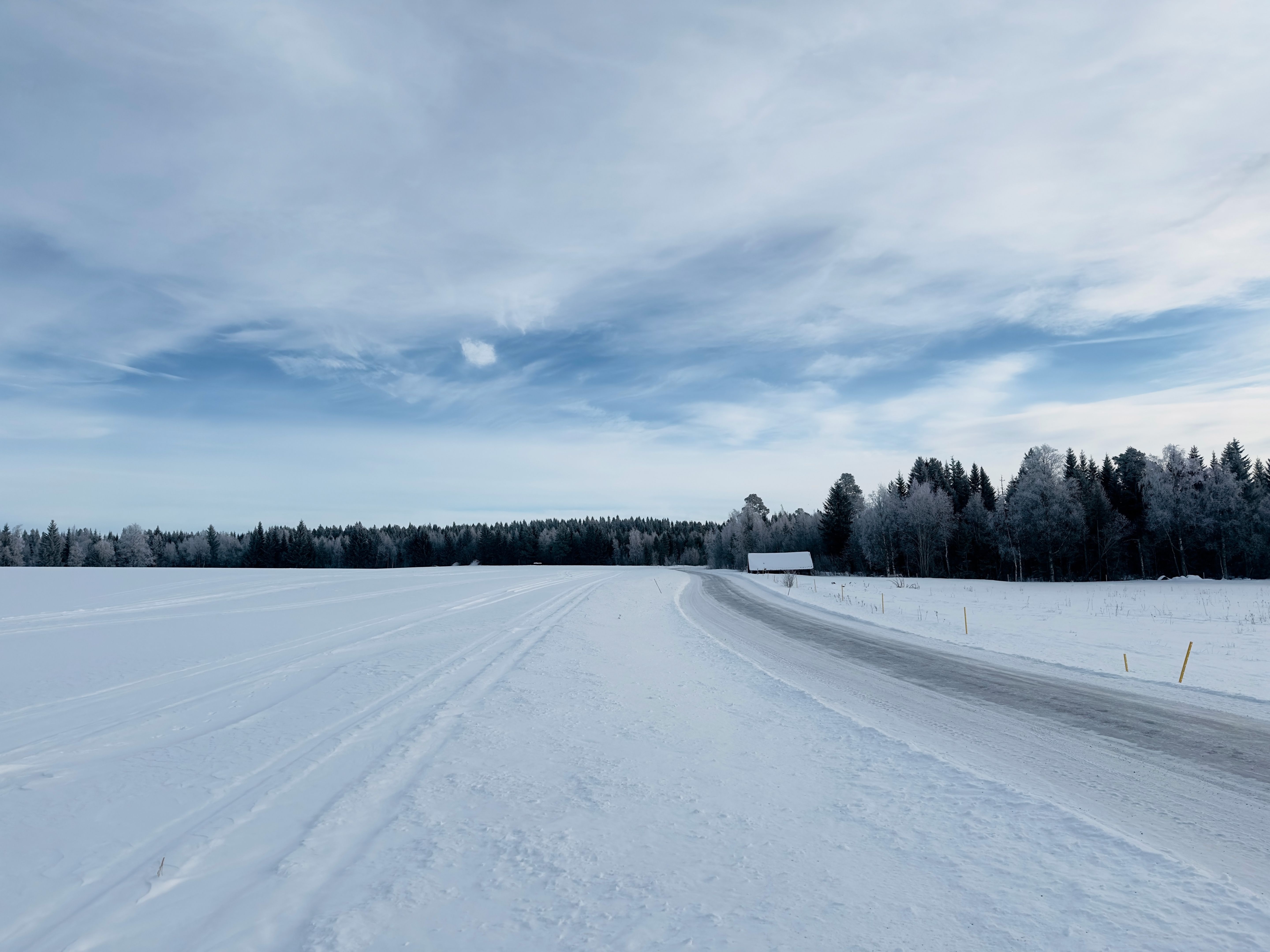 Graine germant sous la neige symbolisant la gestation entrepreneuriale invisible