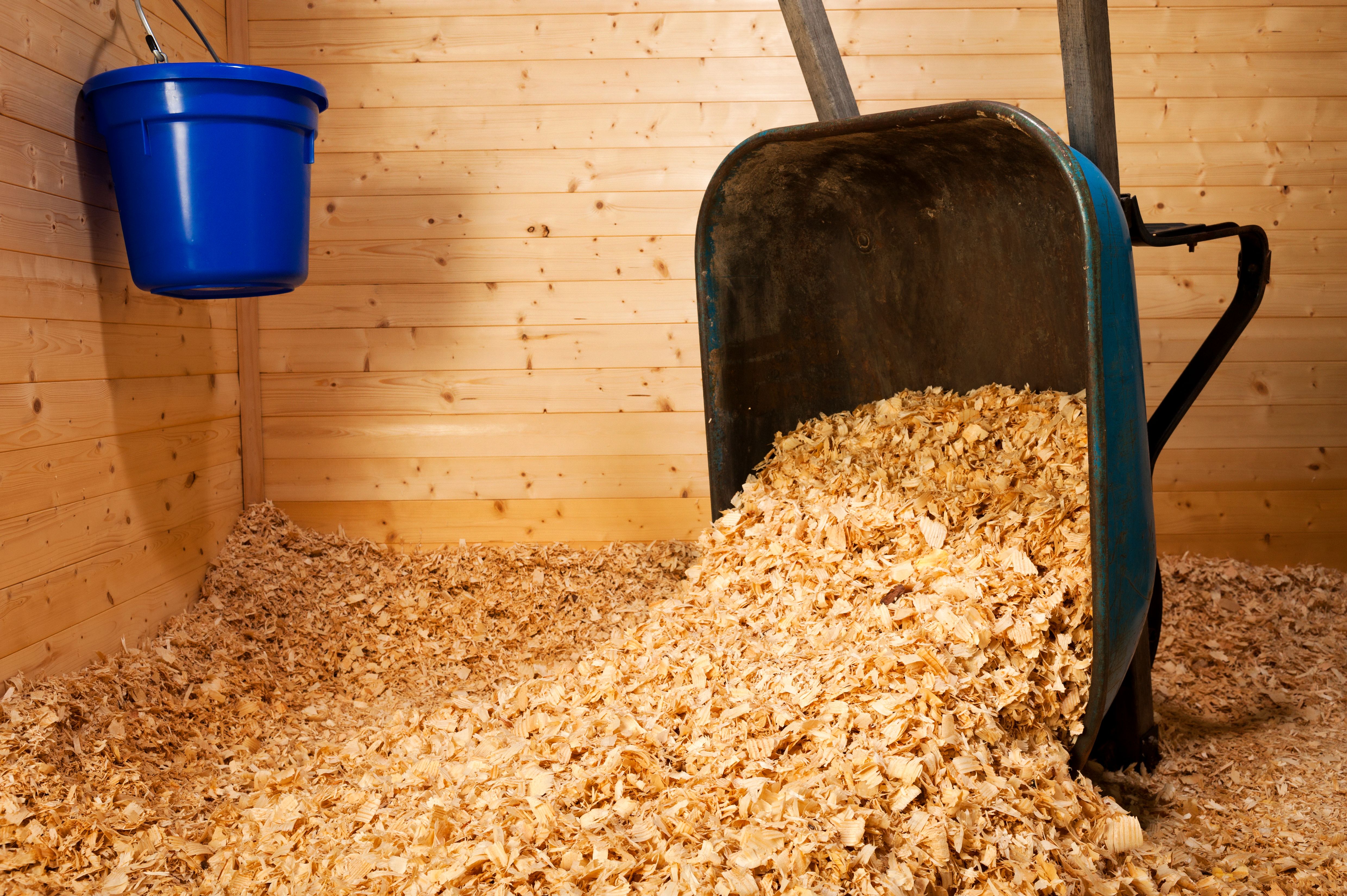 animal bedding barn