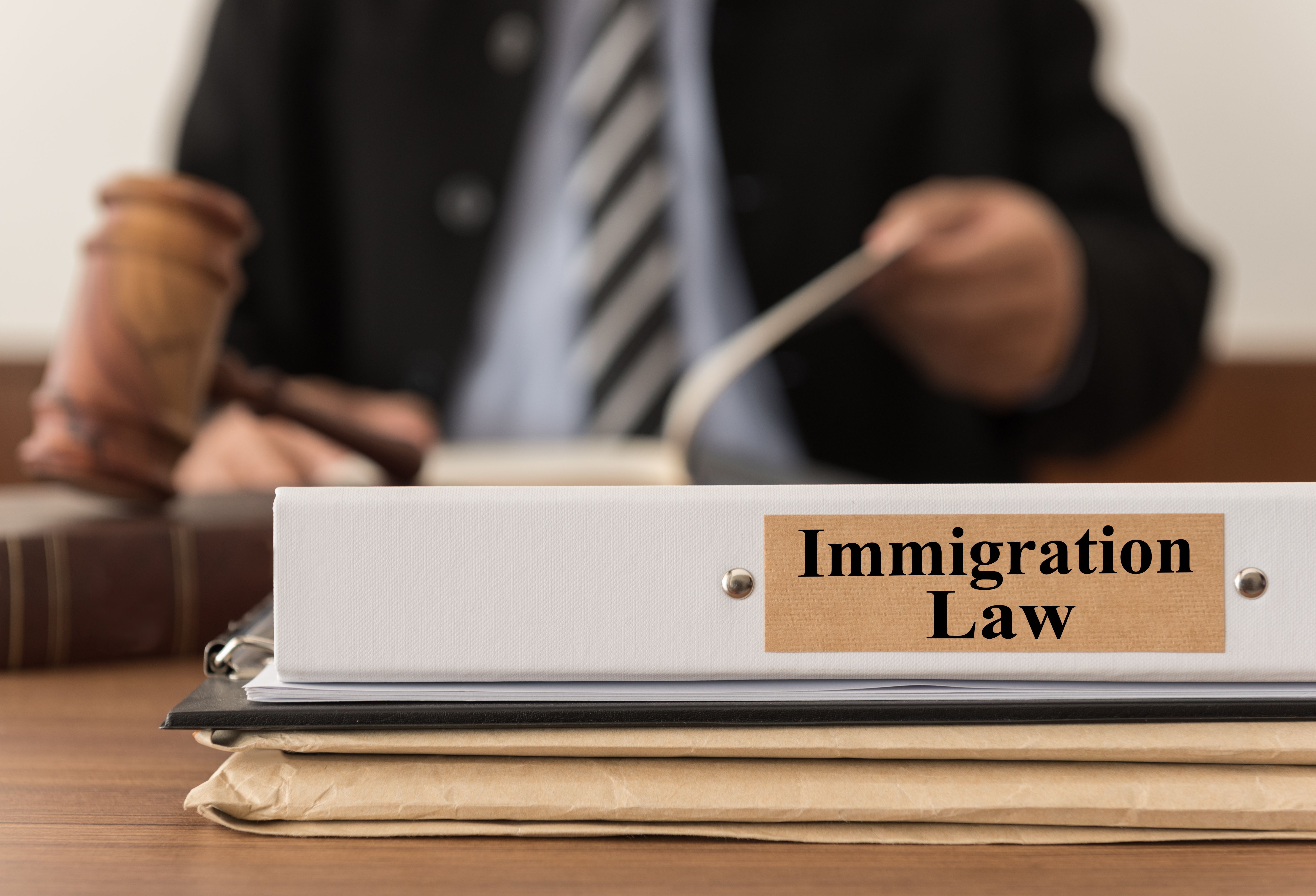 immigration attorney