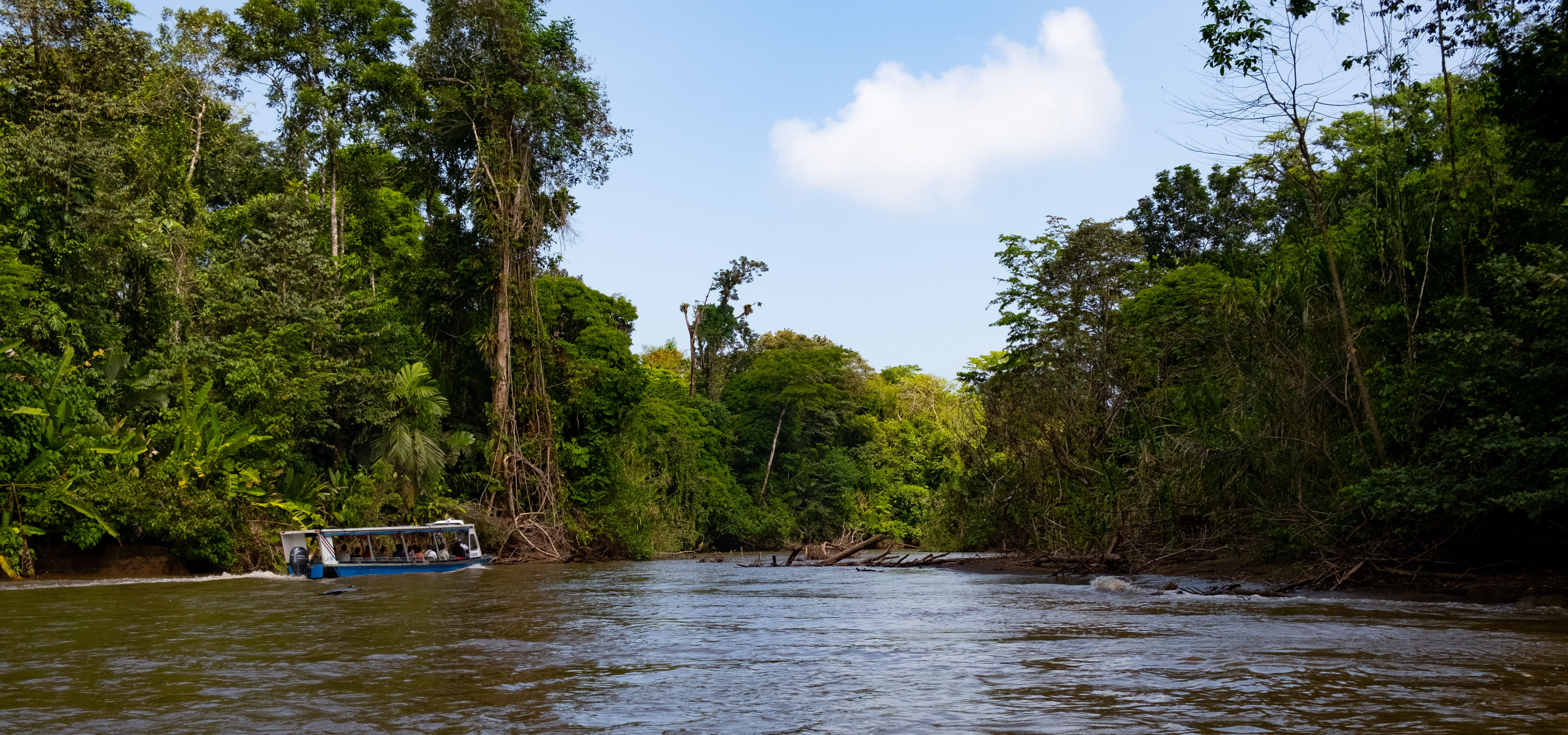 tortuguero national park