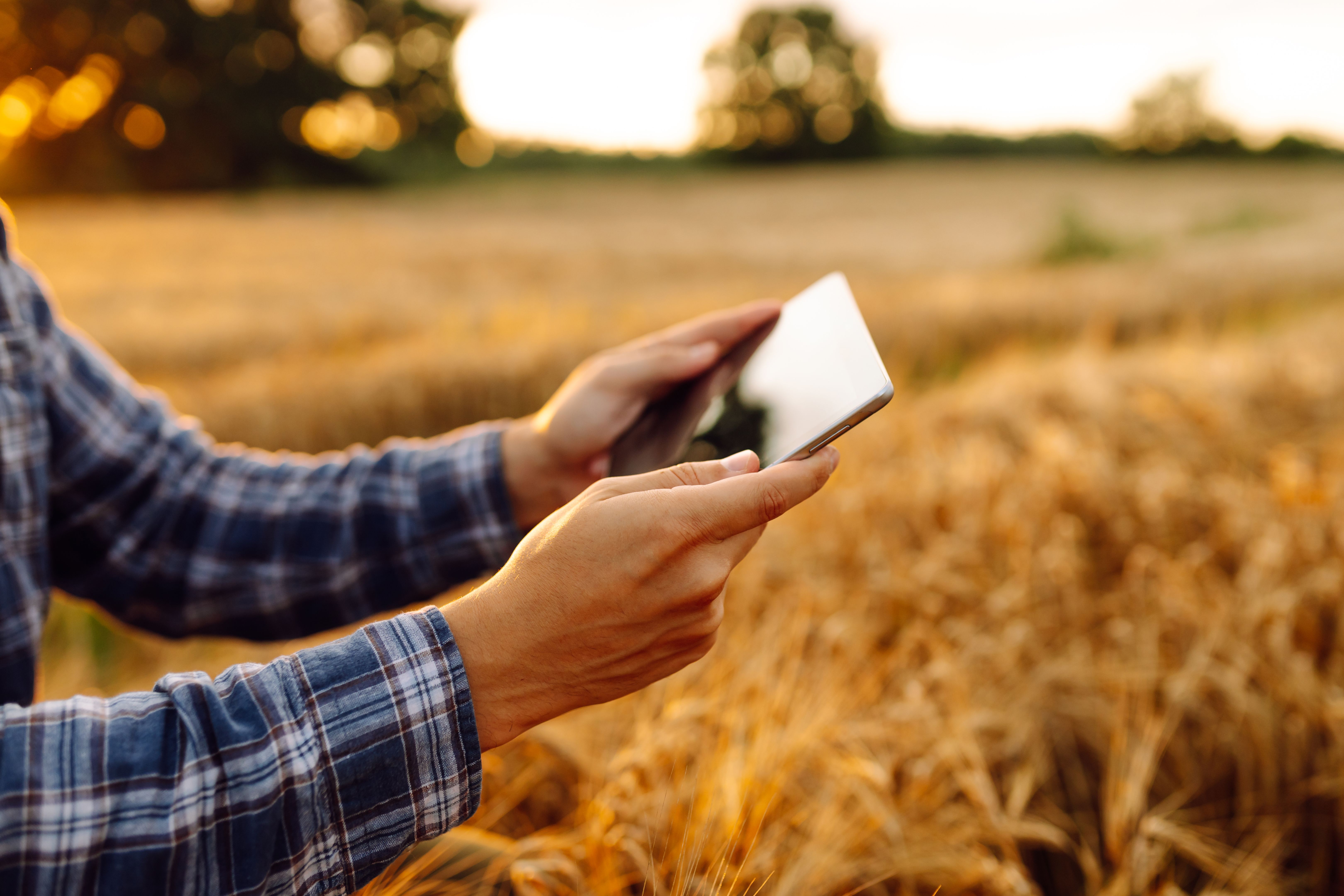 farm management