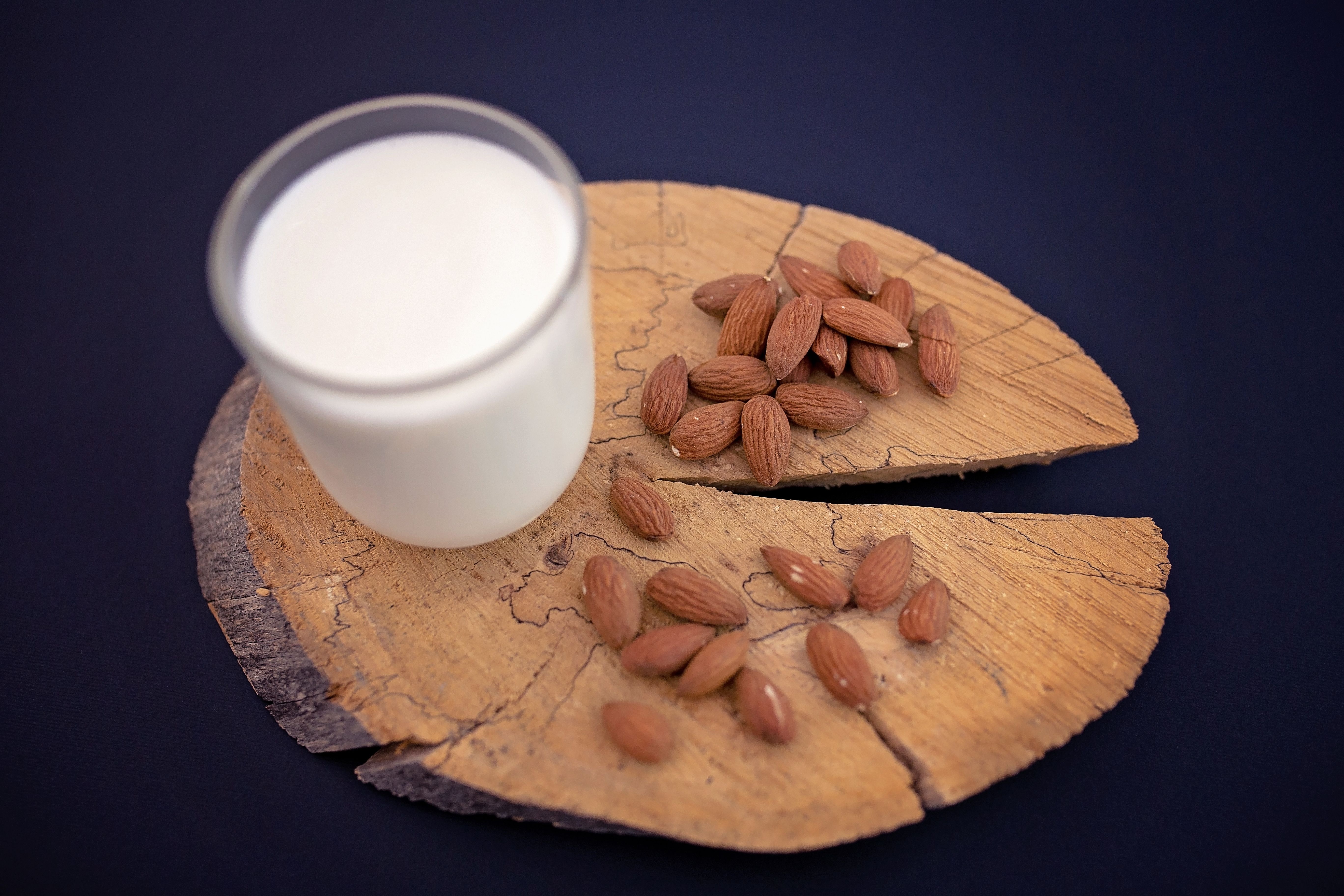 protein sources