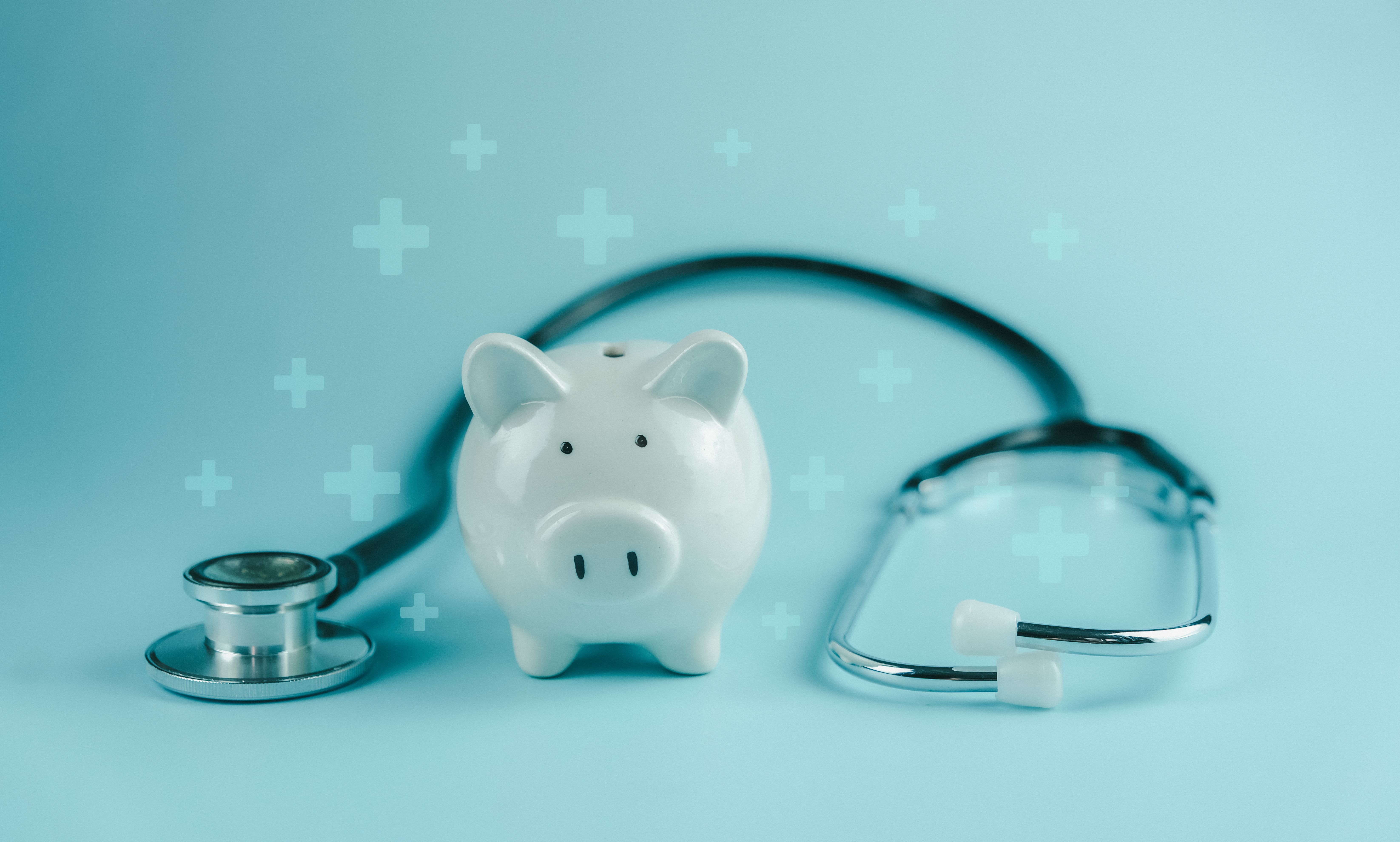 pet healthcare costs