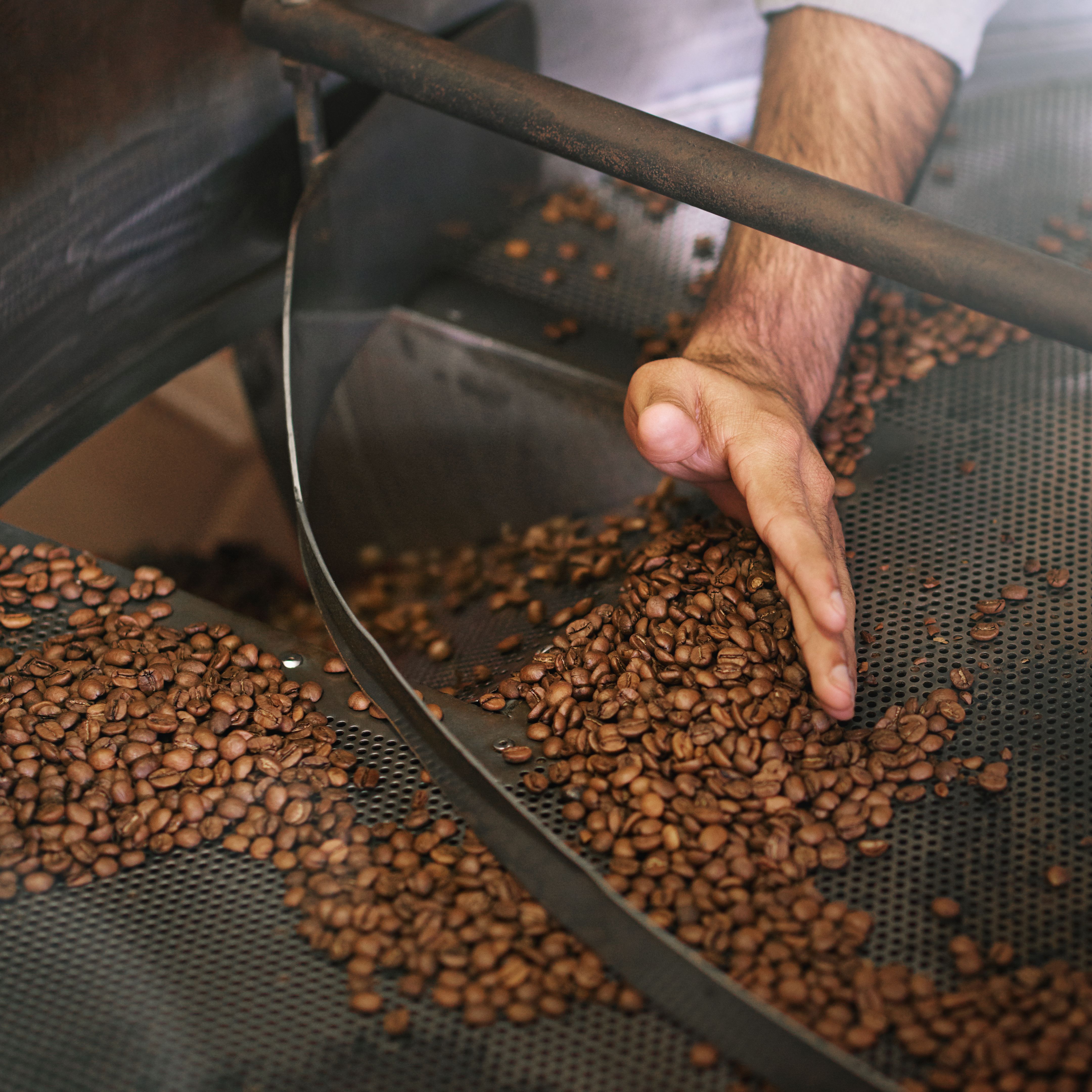 coffee beans roasting