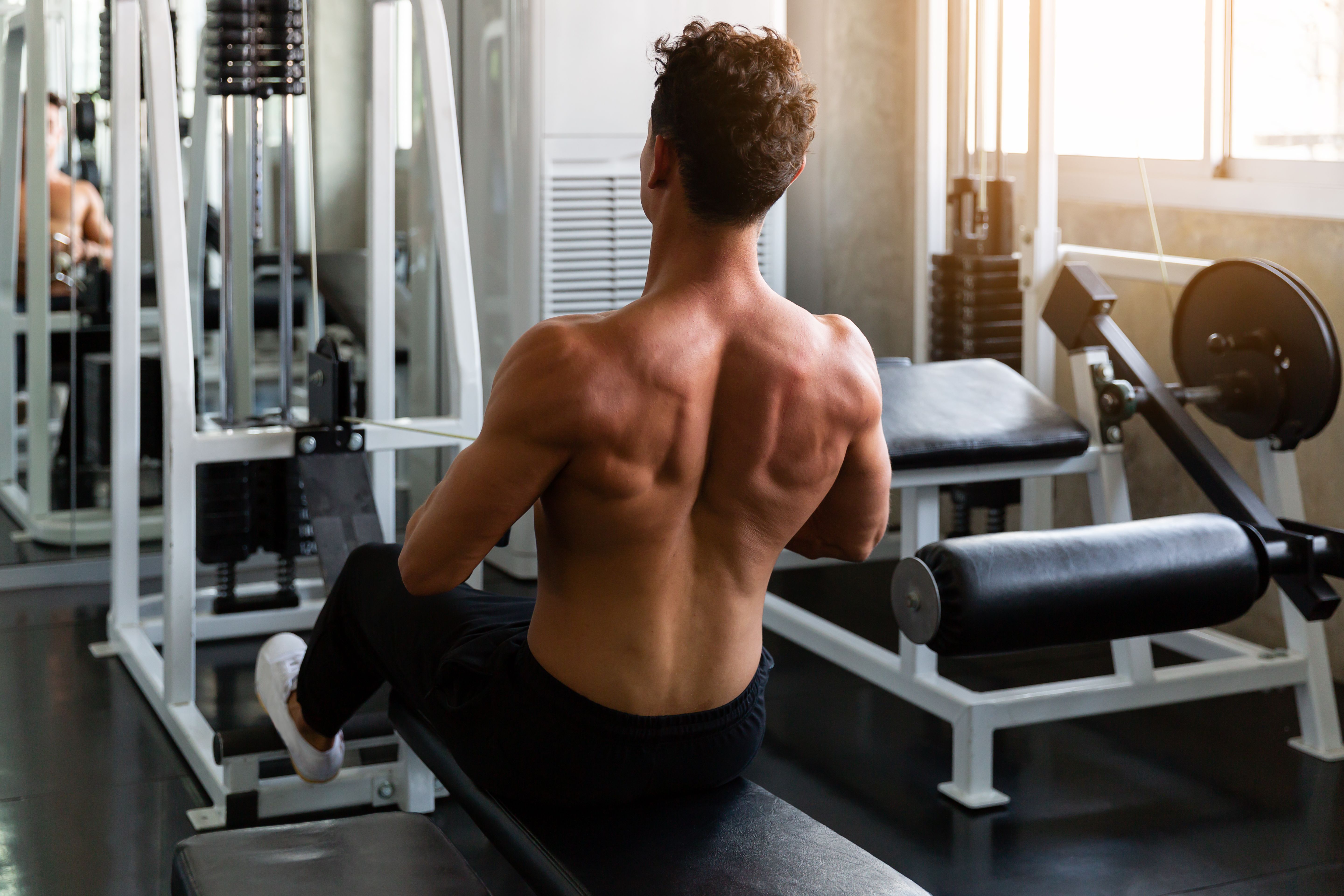 seated row exercise