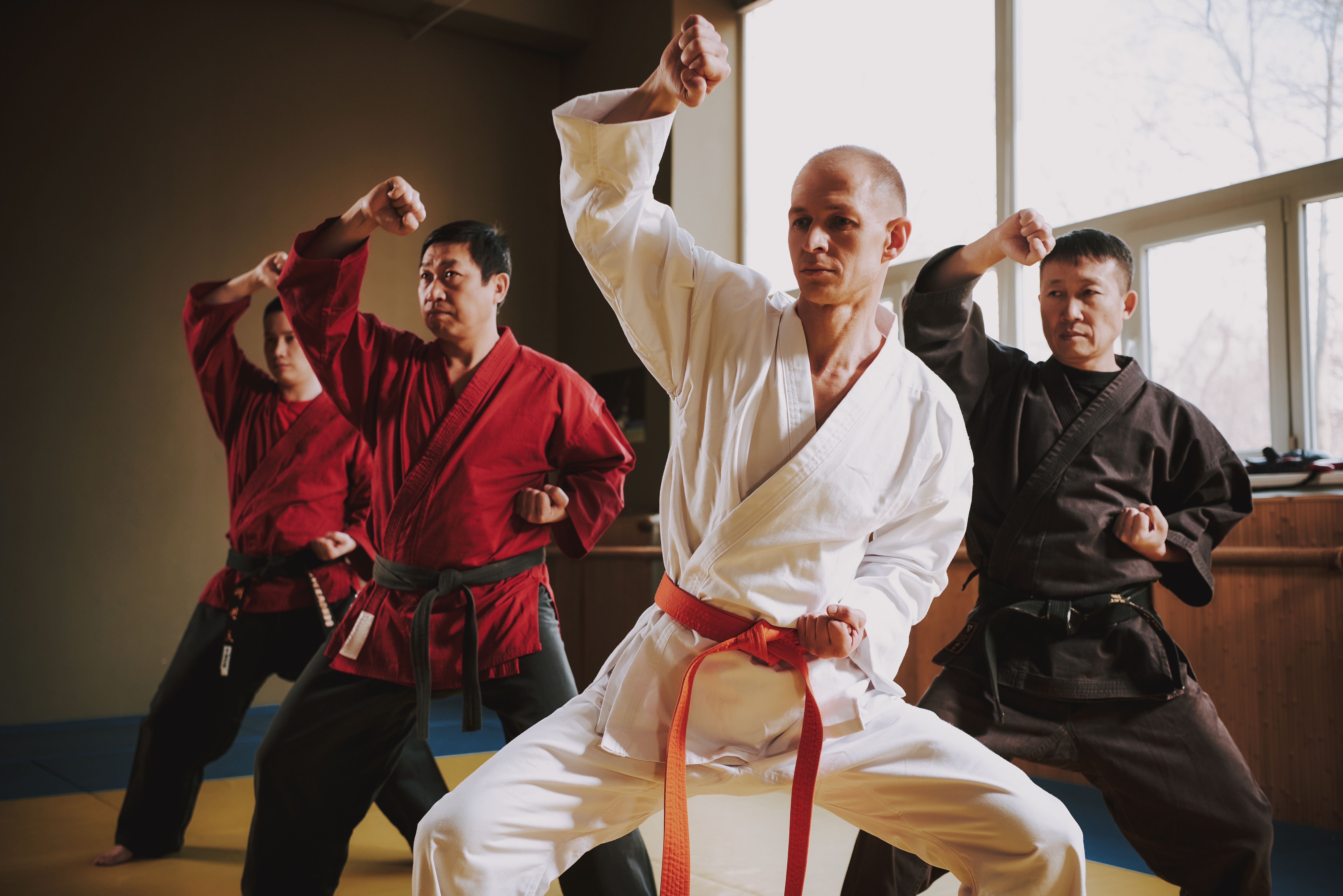 Martial arts fighters in different colors keikogi doing stances together.