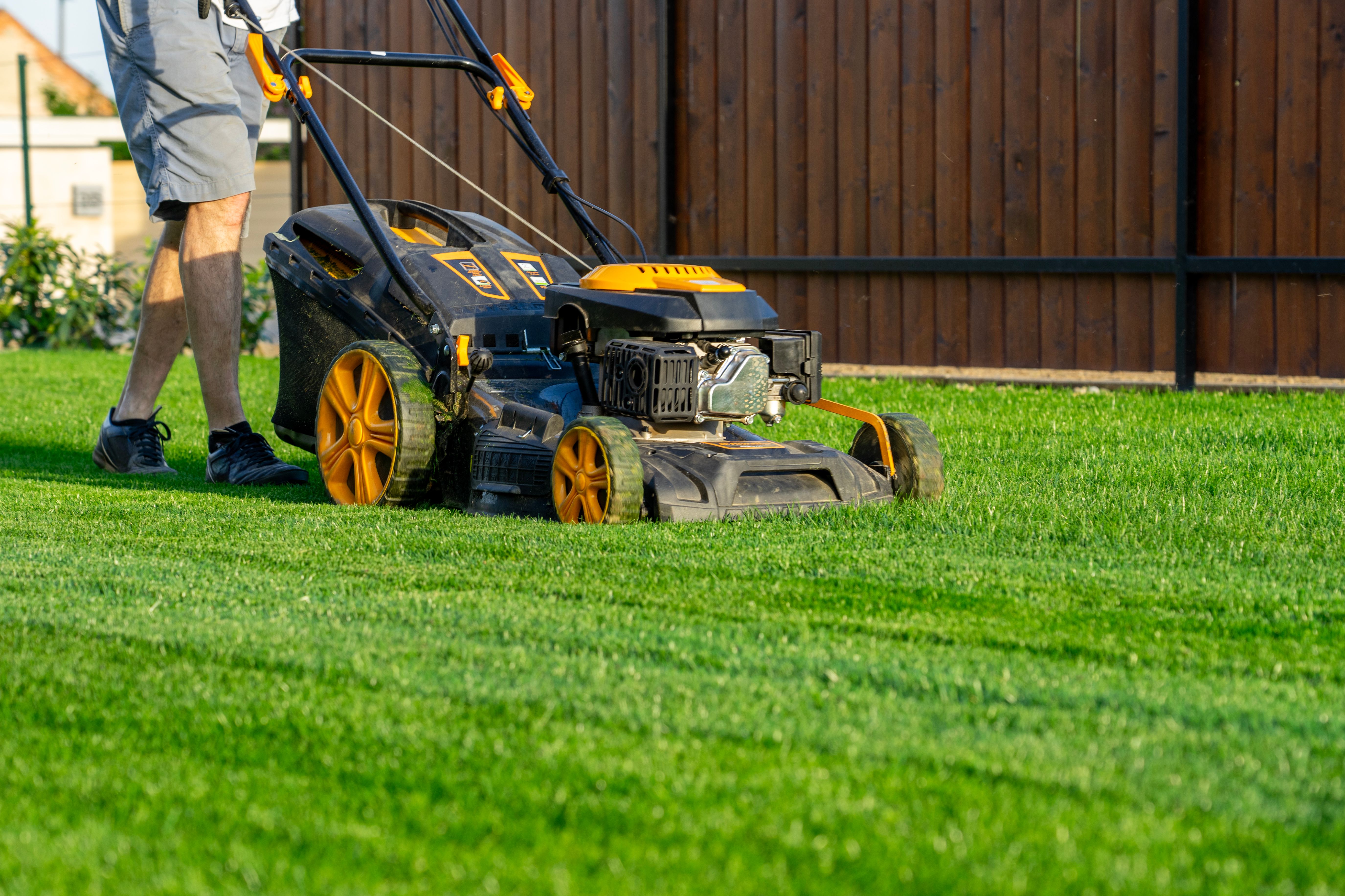 lawn maintenance