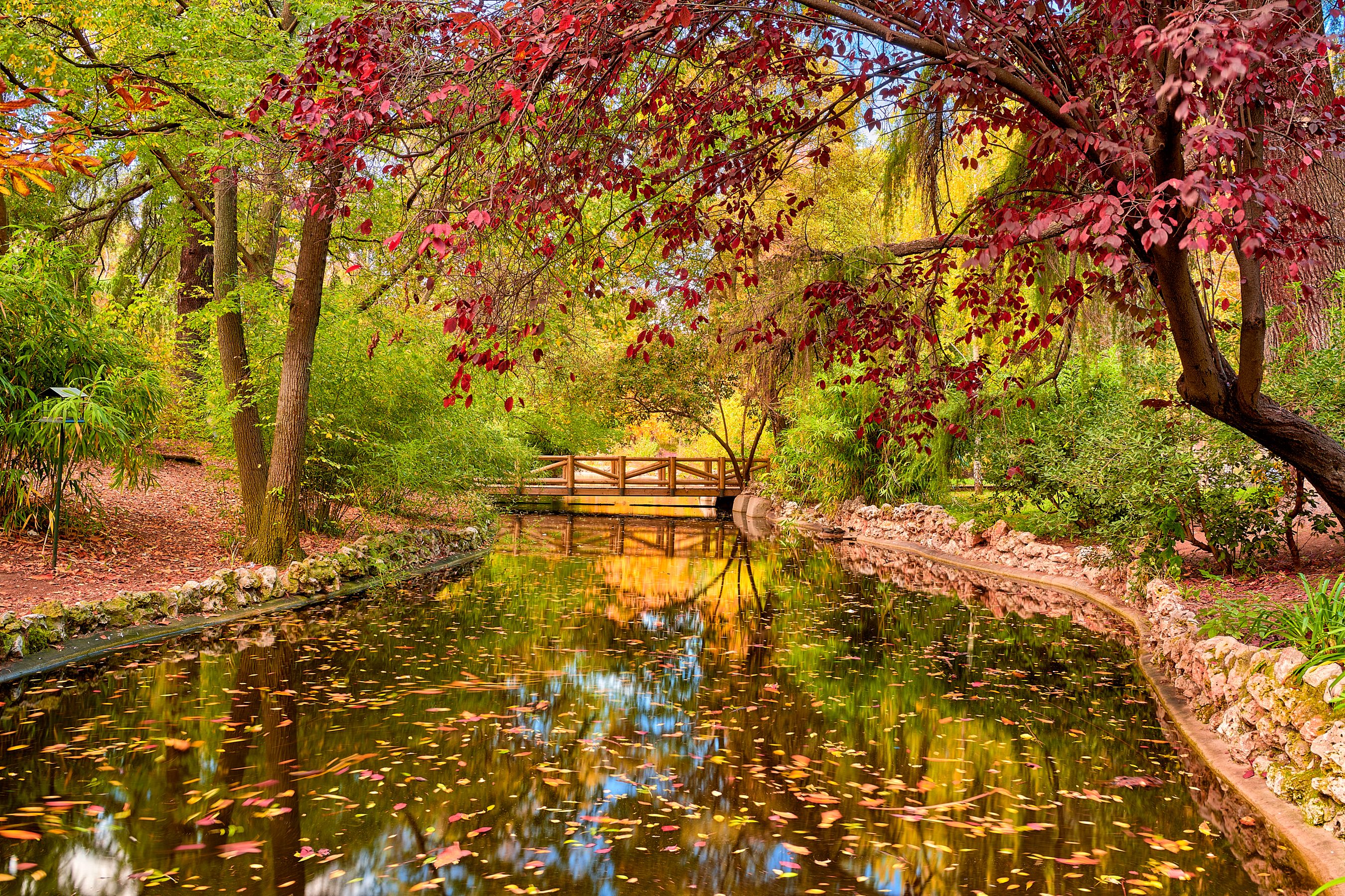 elizabeth park fall