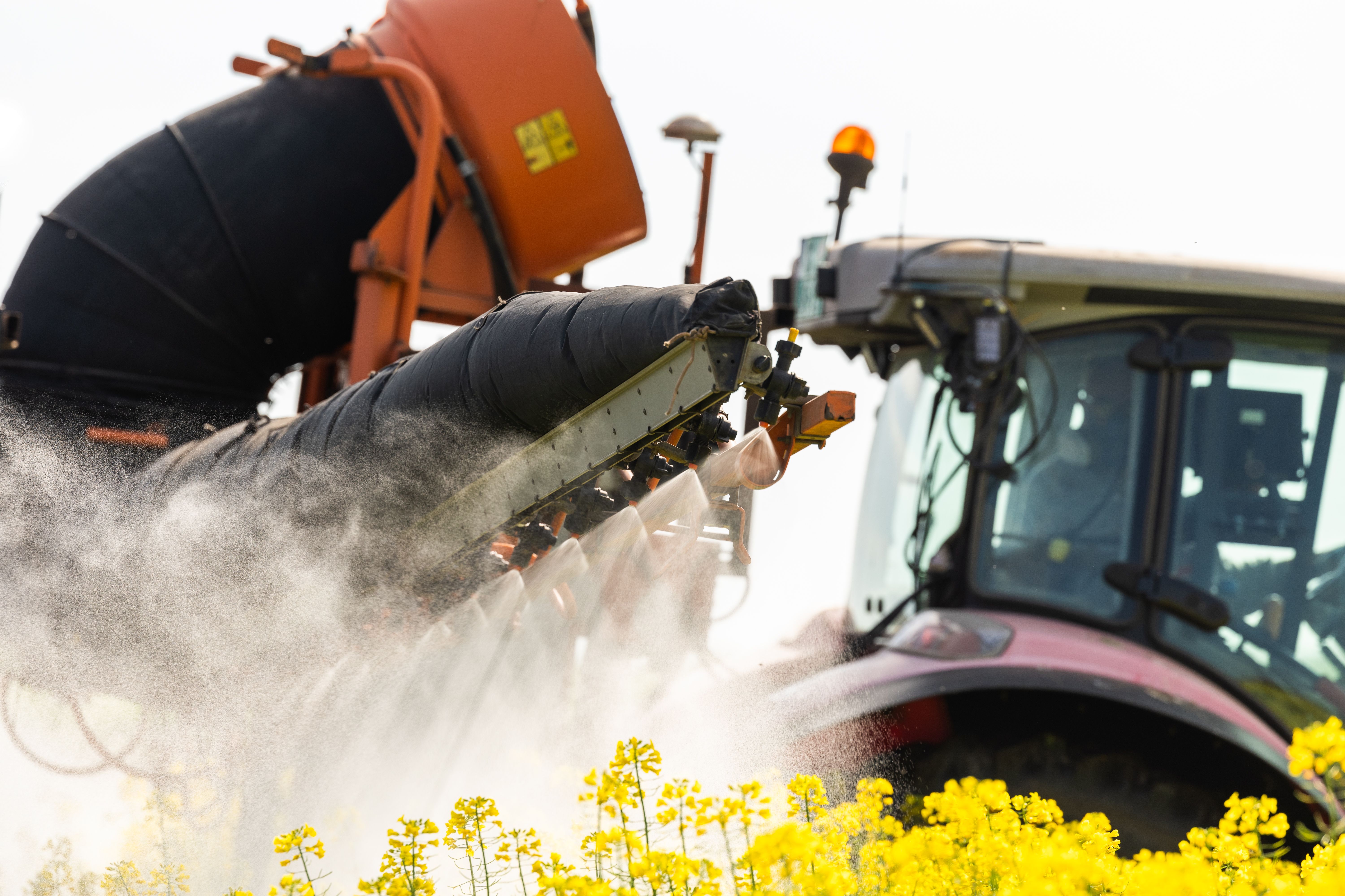 eco friendly pest control