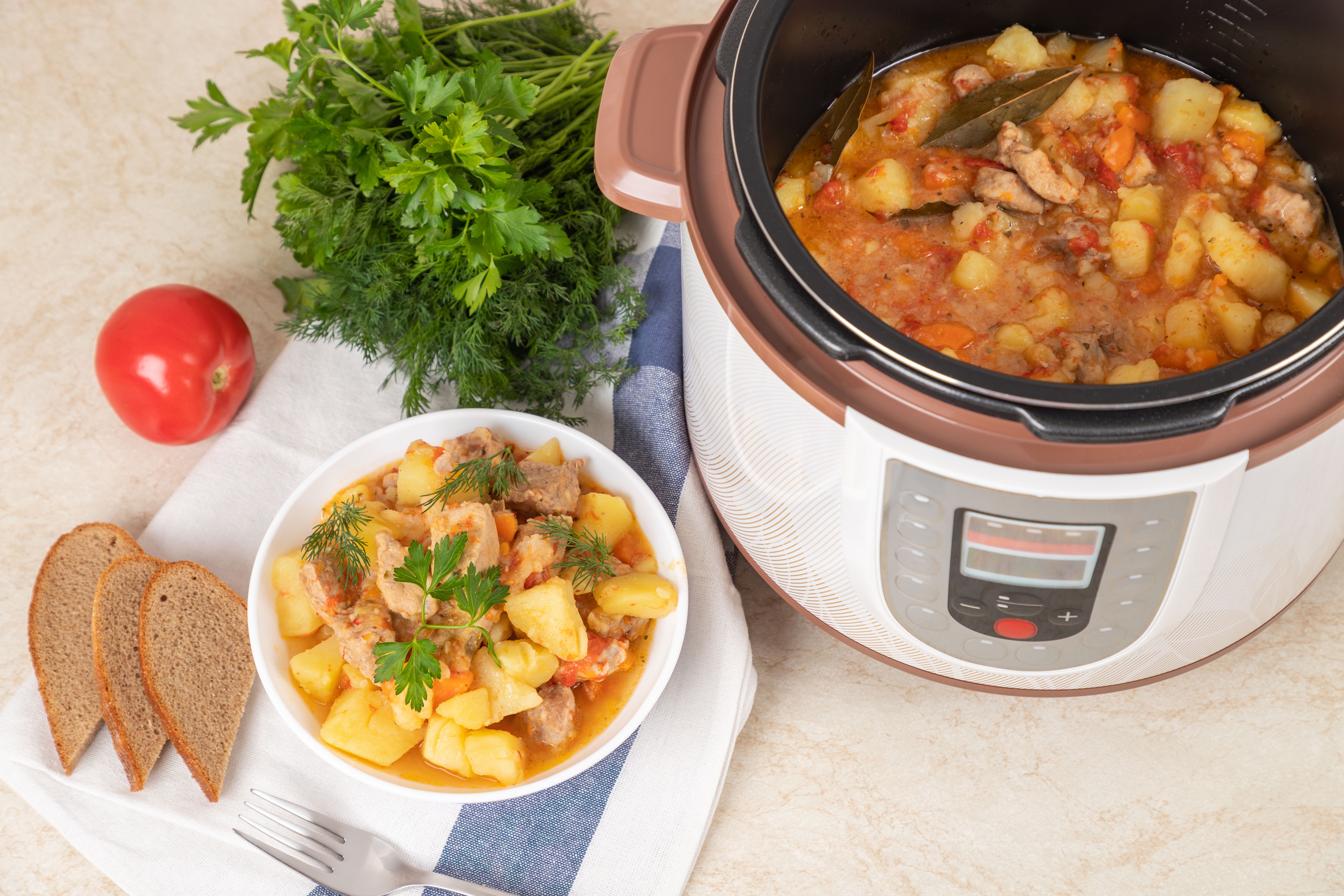 multi-cooker