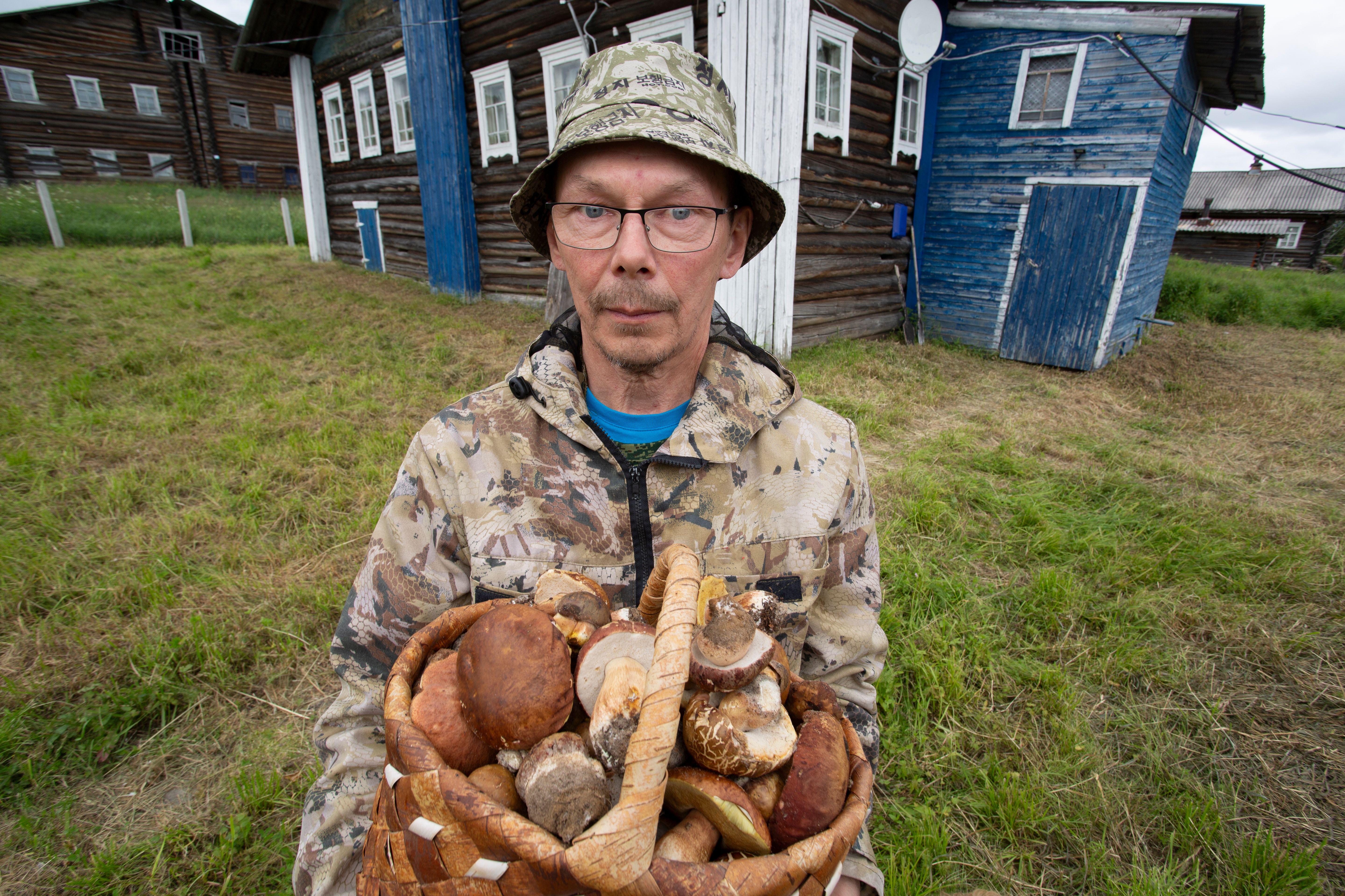 harvesting mushrooms