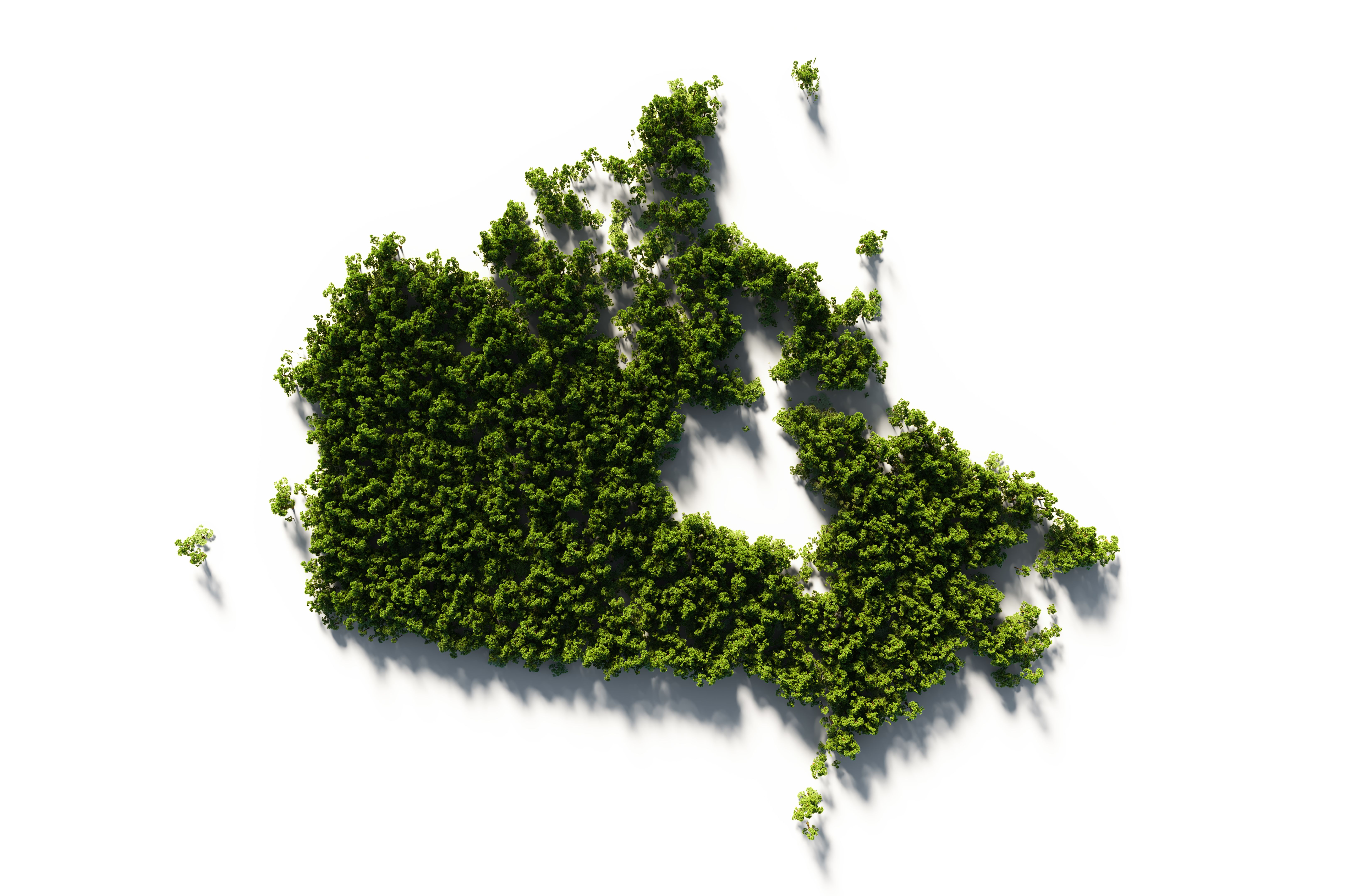 sustainable investing canada