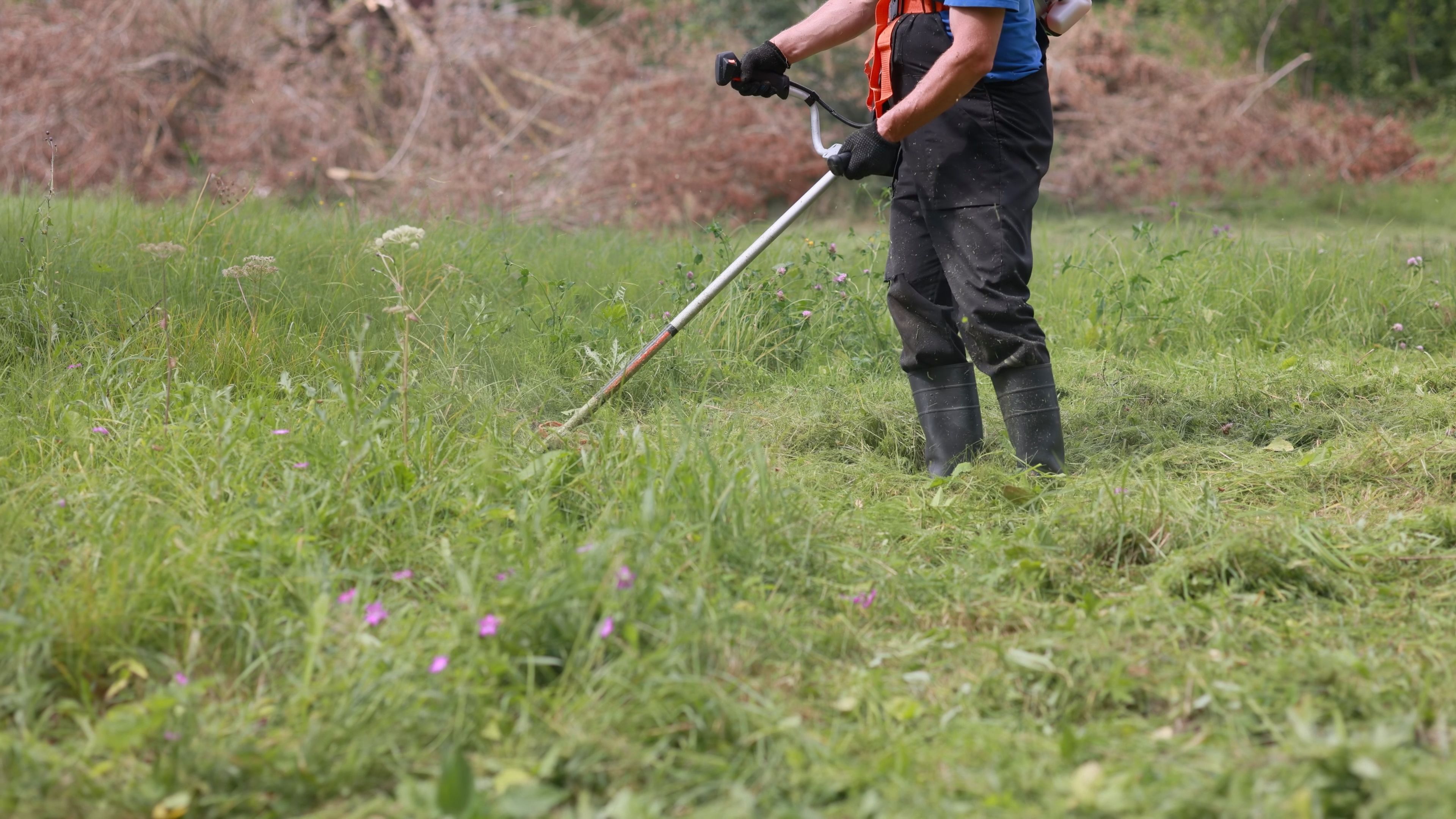natural weed control