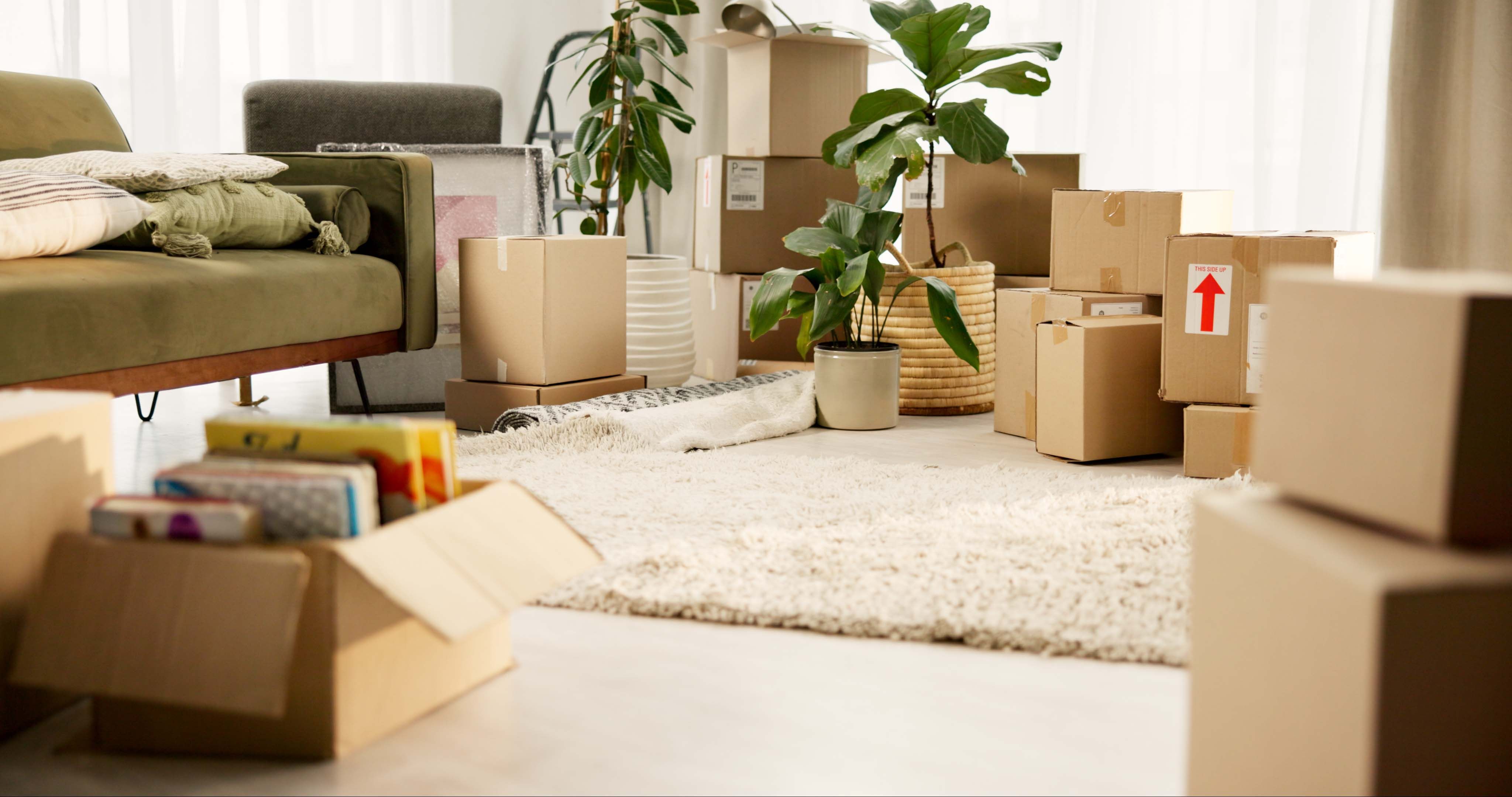 packing boxes