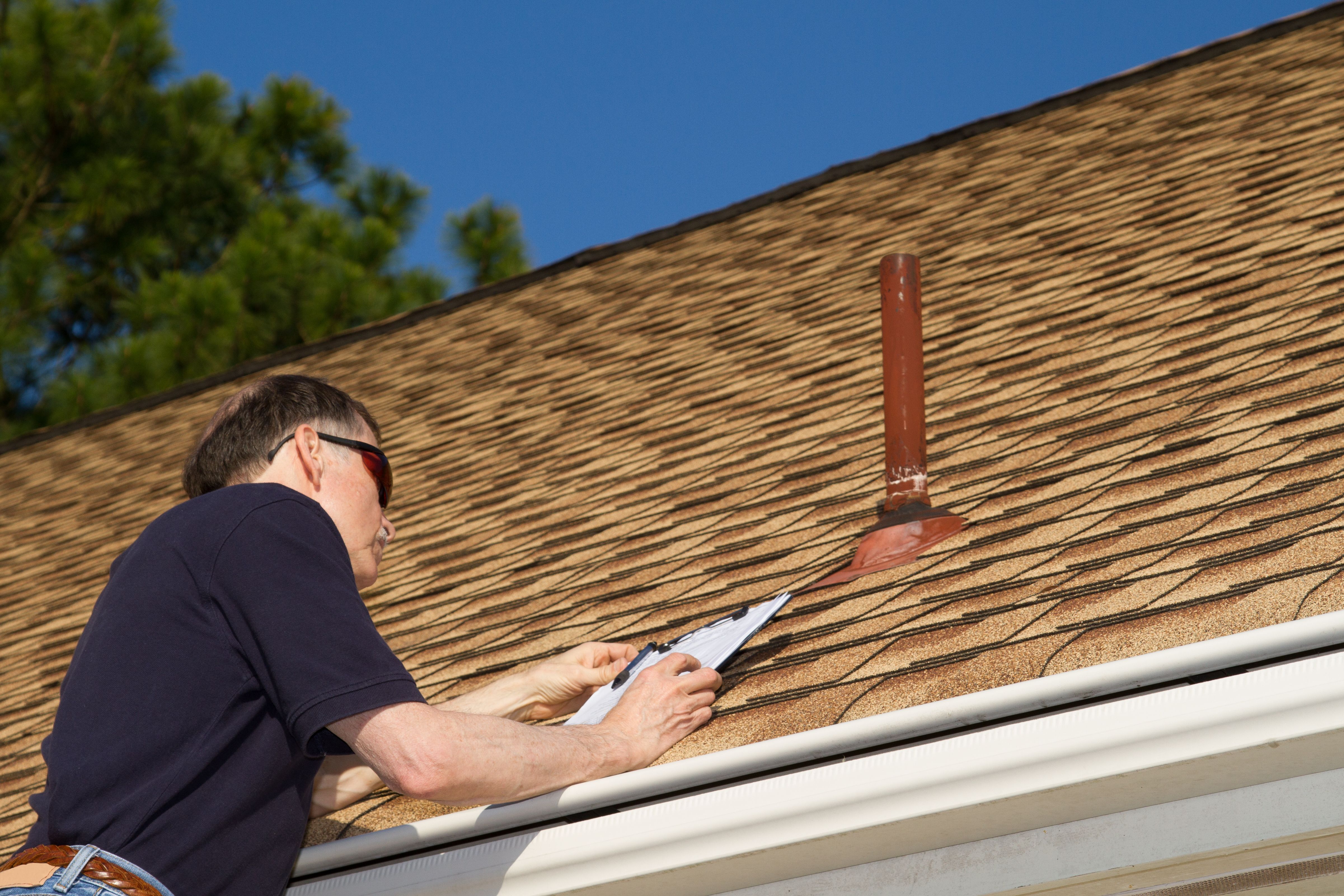 roof inspection professional