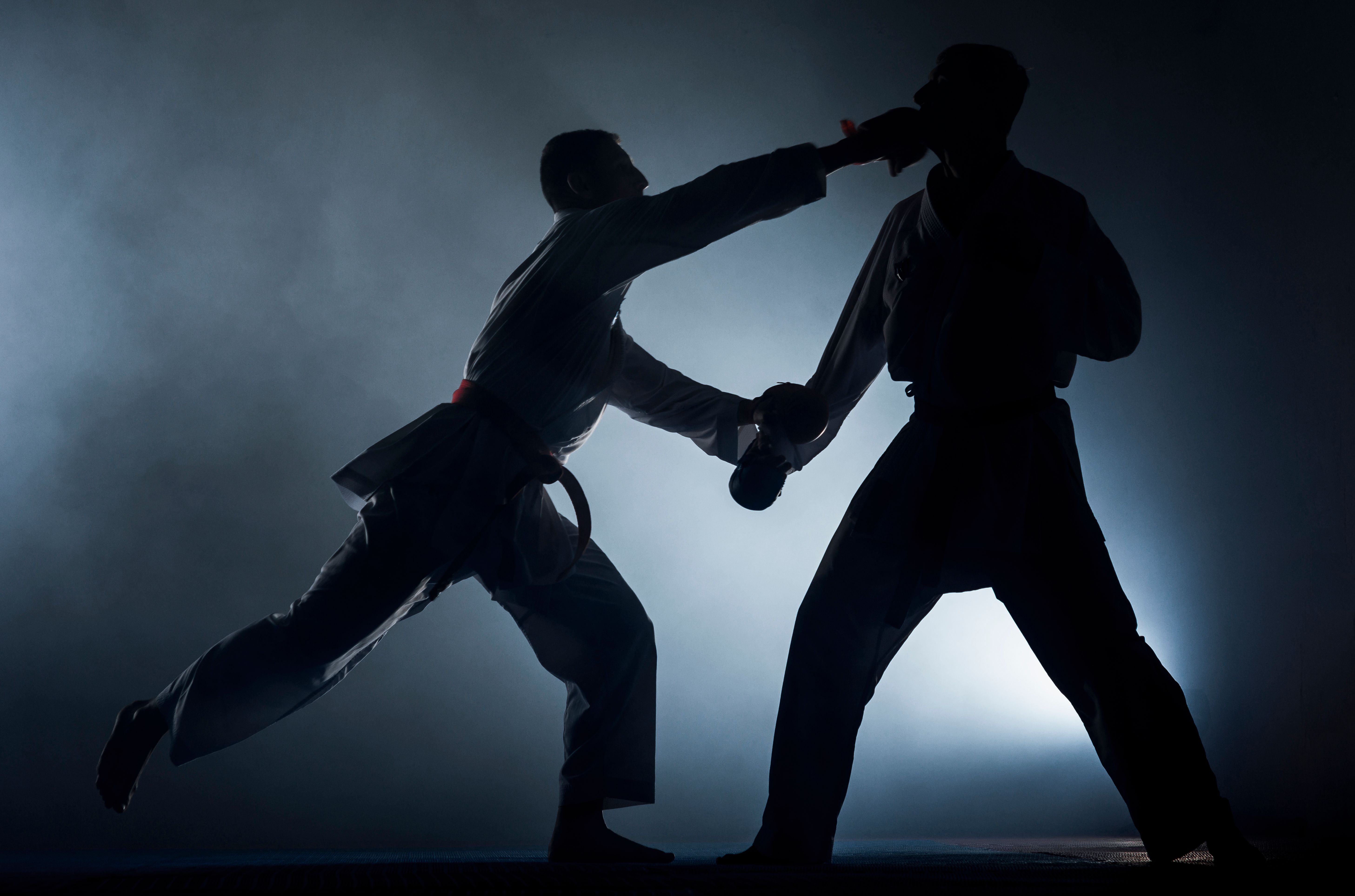 Portrait of a martial arts masters on the black background