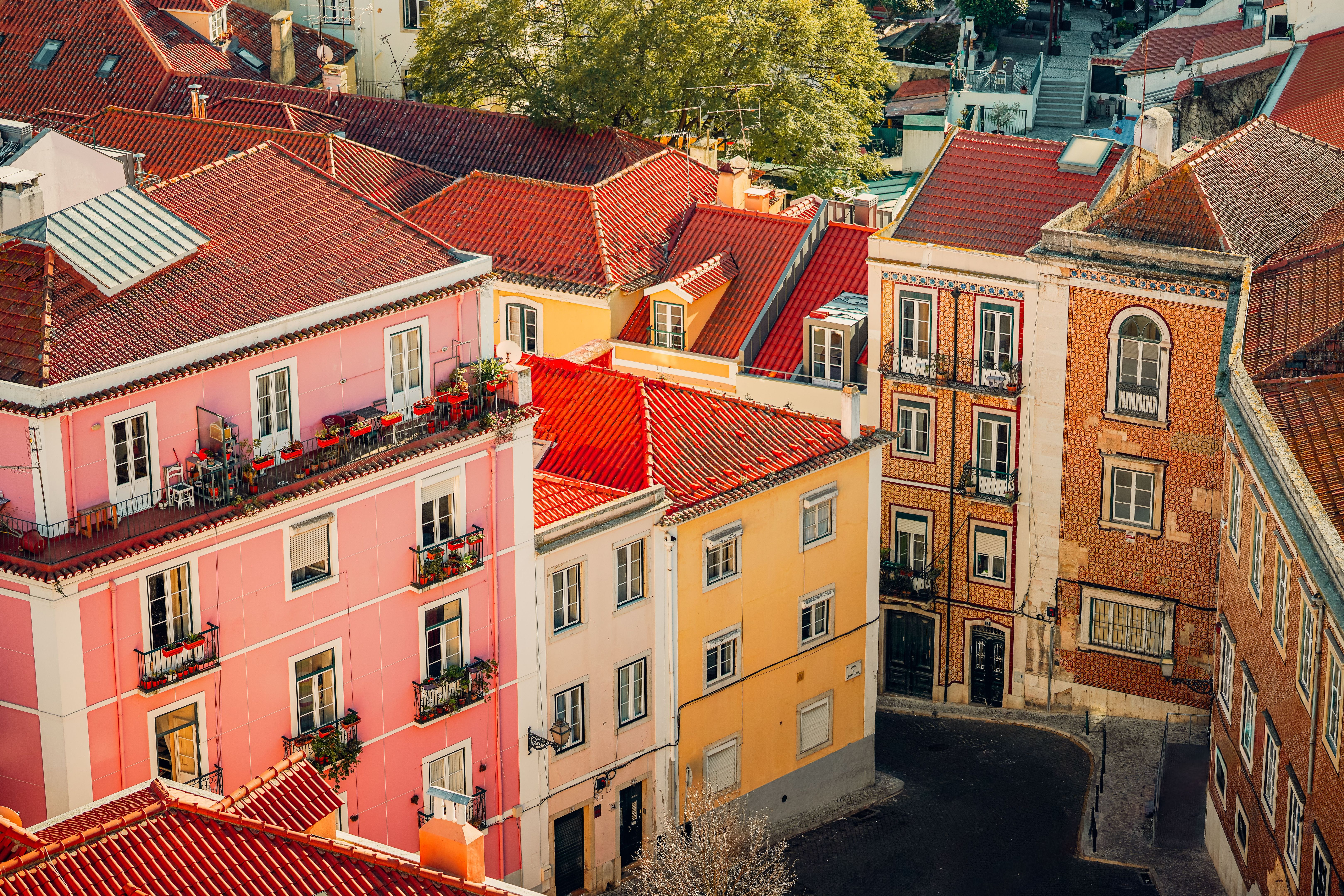 Lisbon nature