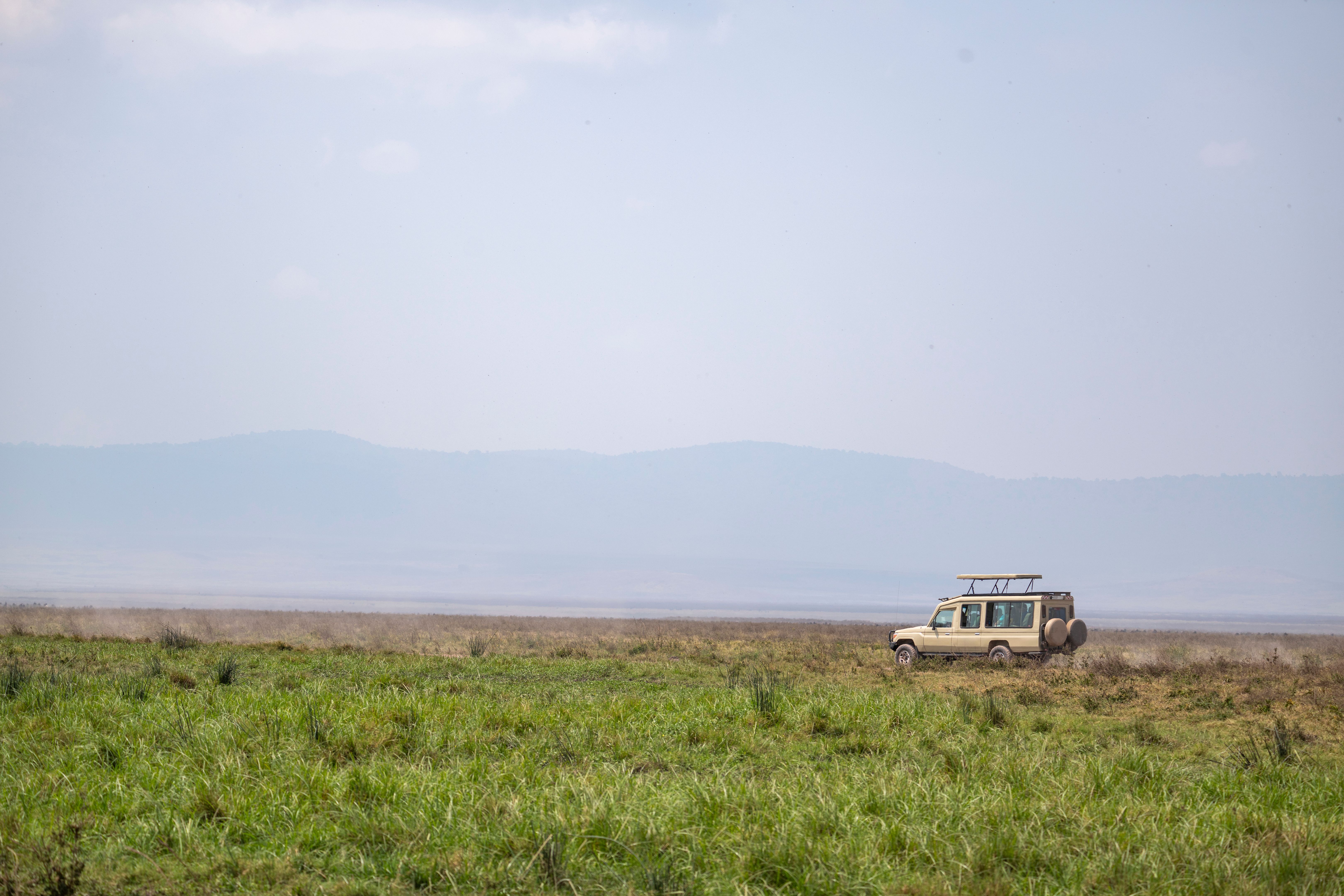 tanzania safari