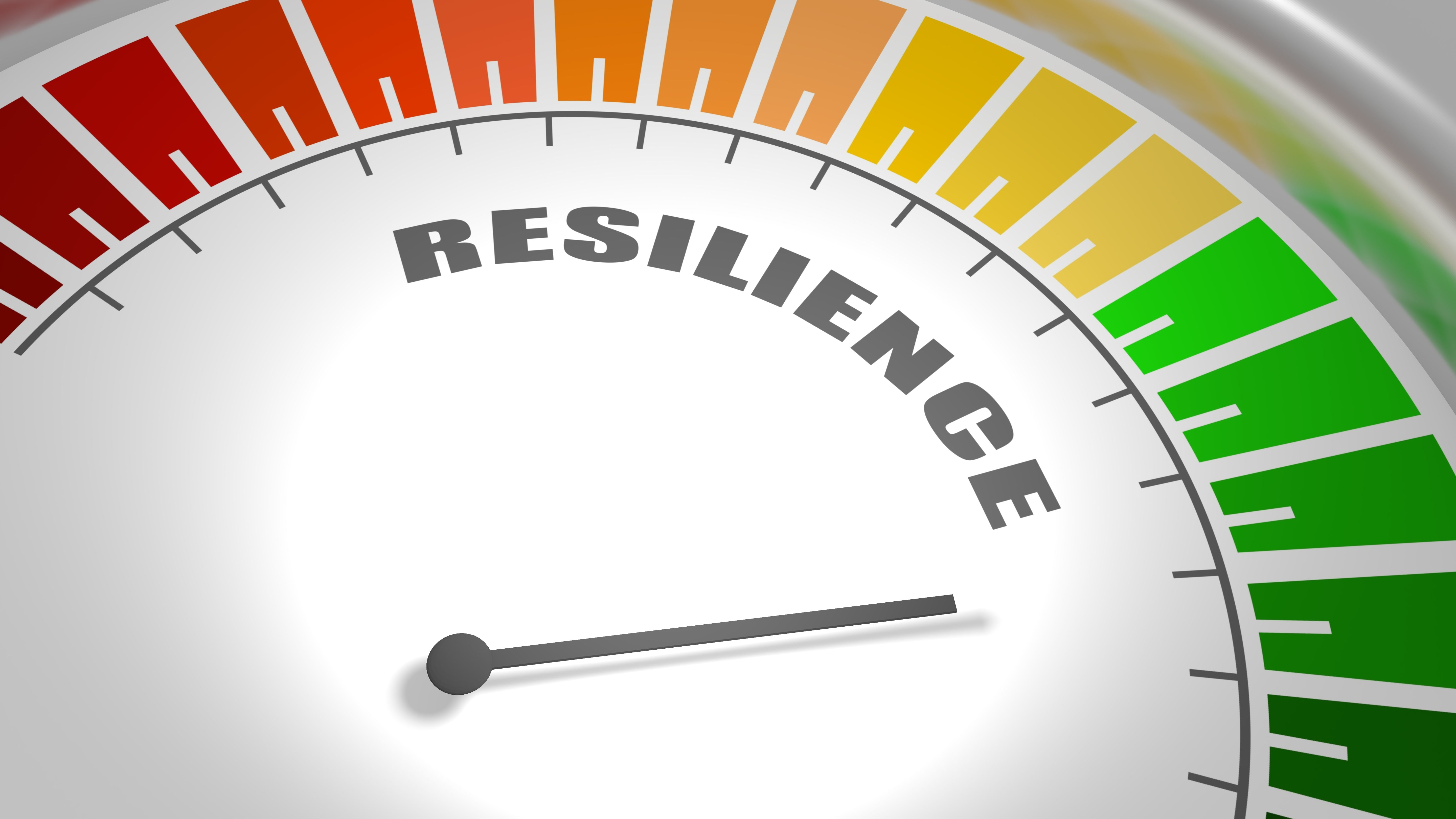 wellness resilience