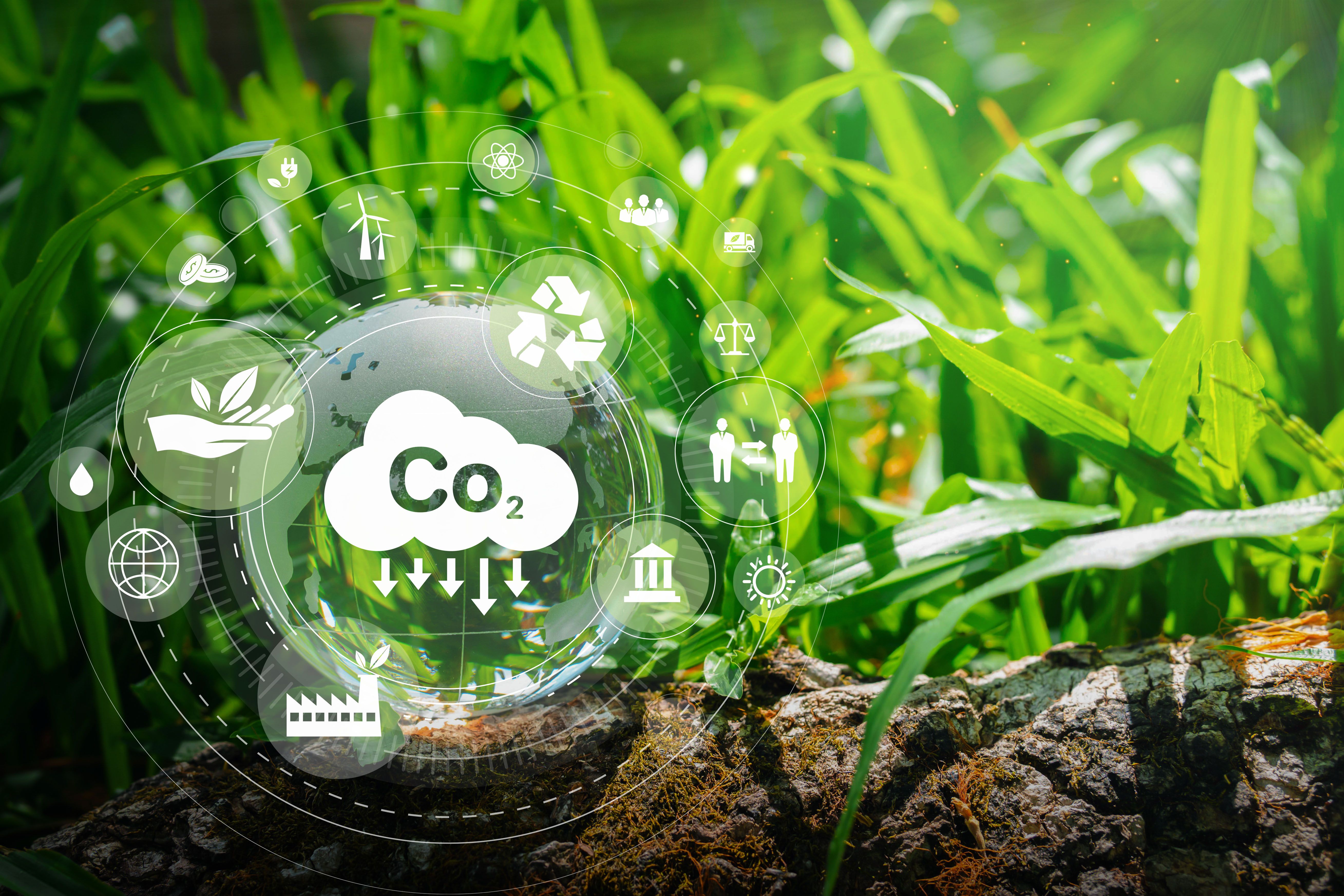 carbon emissions