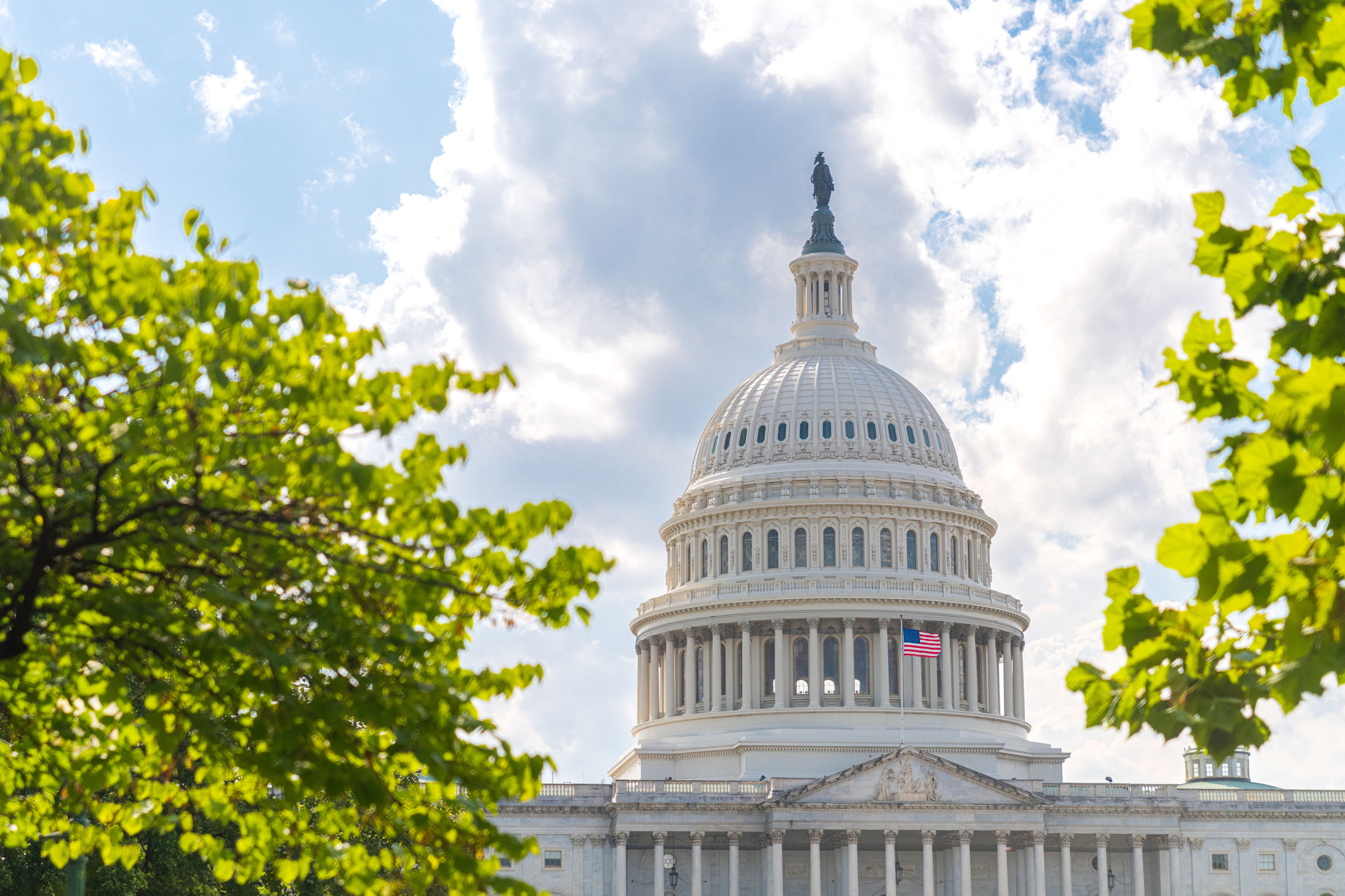 environmental campaign