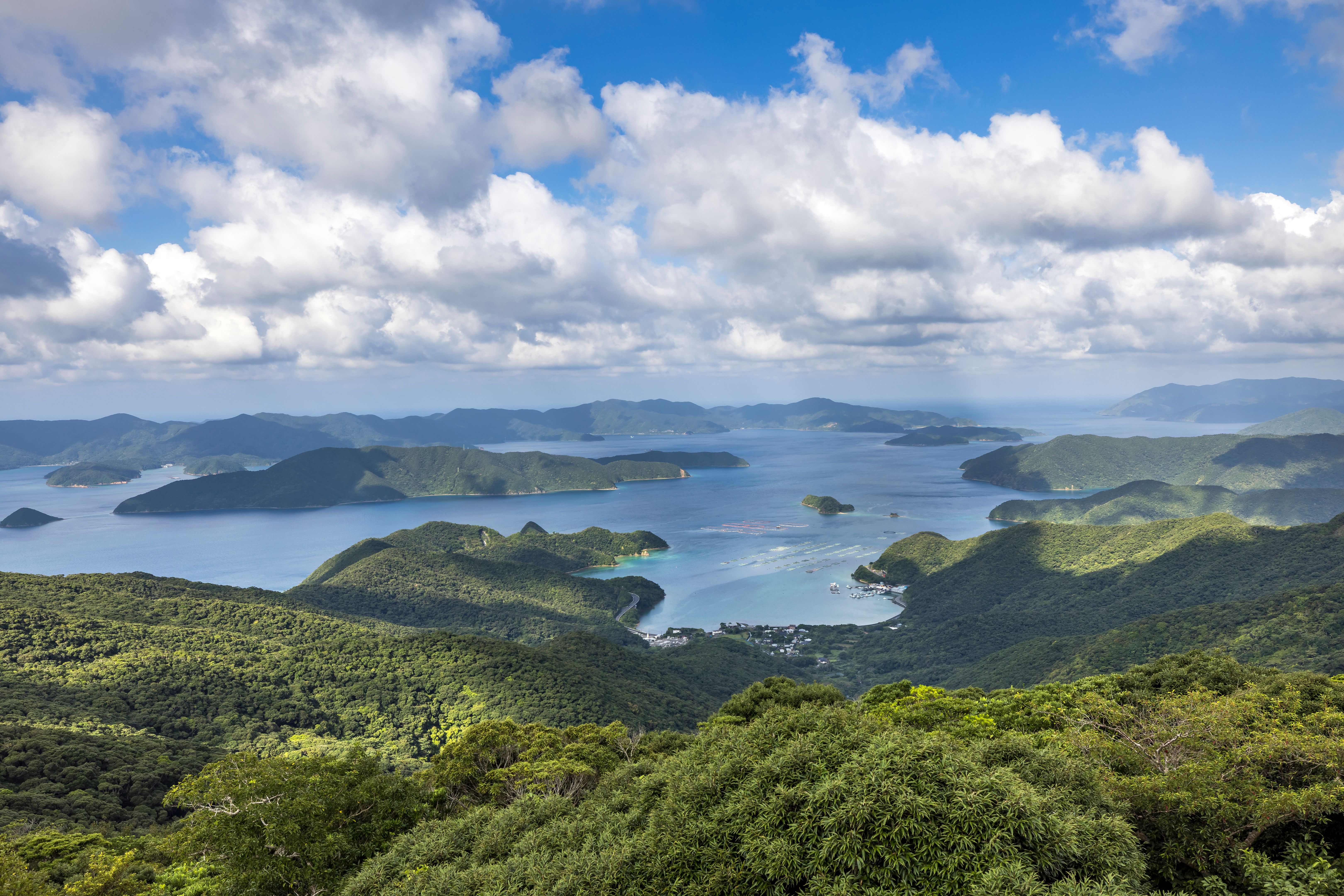 amami islands culture
