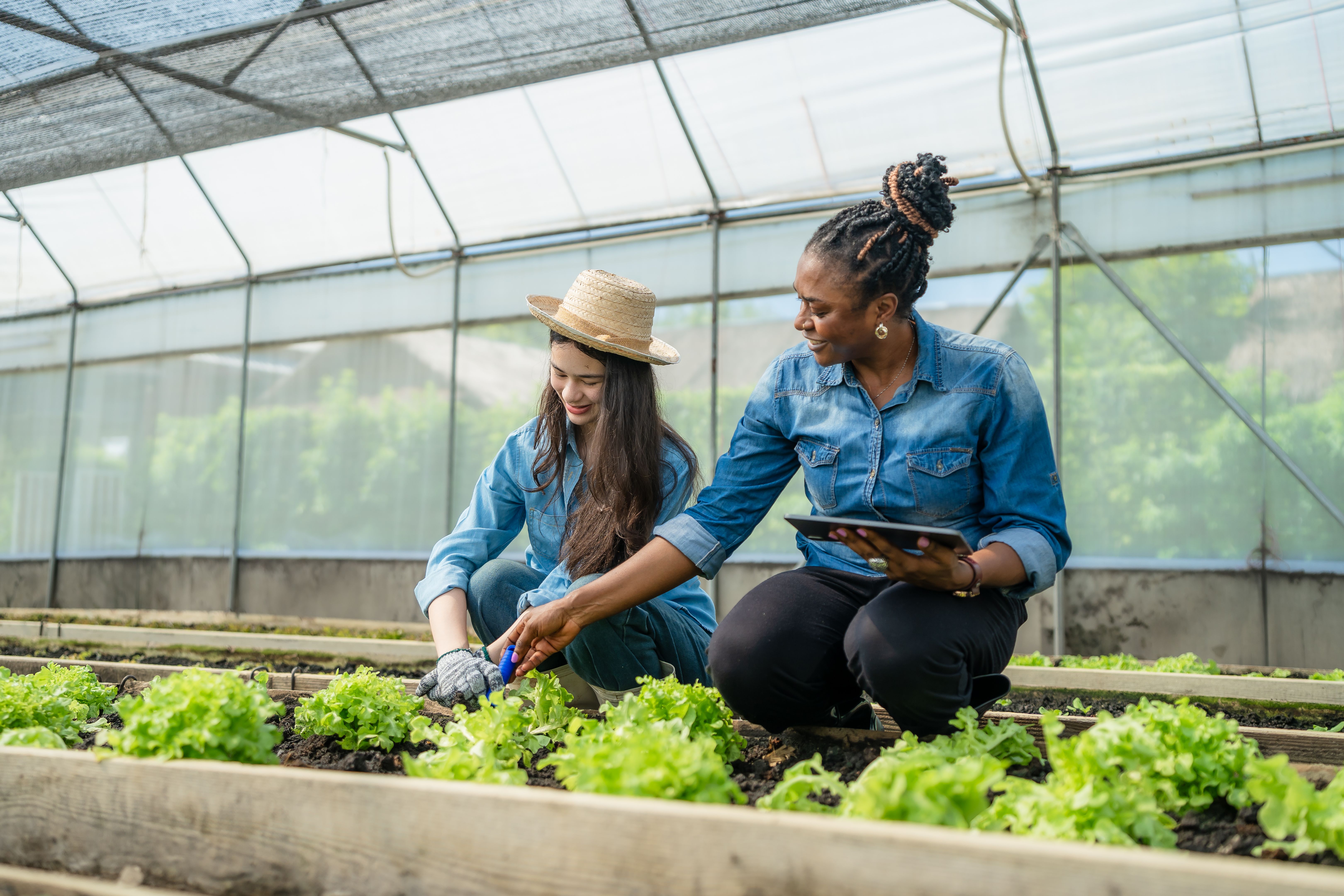 agriculture support