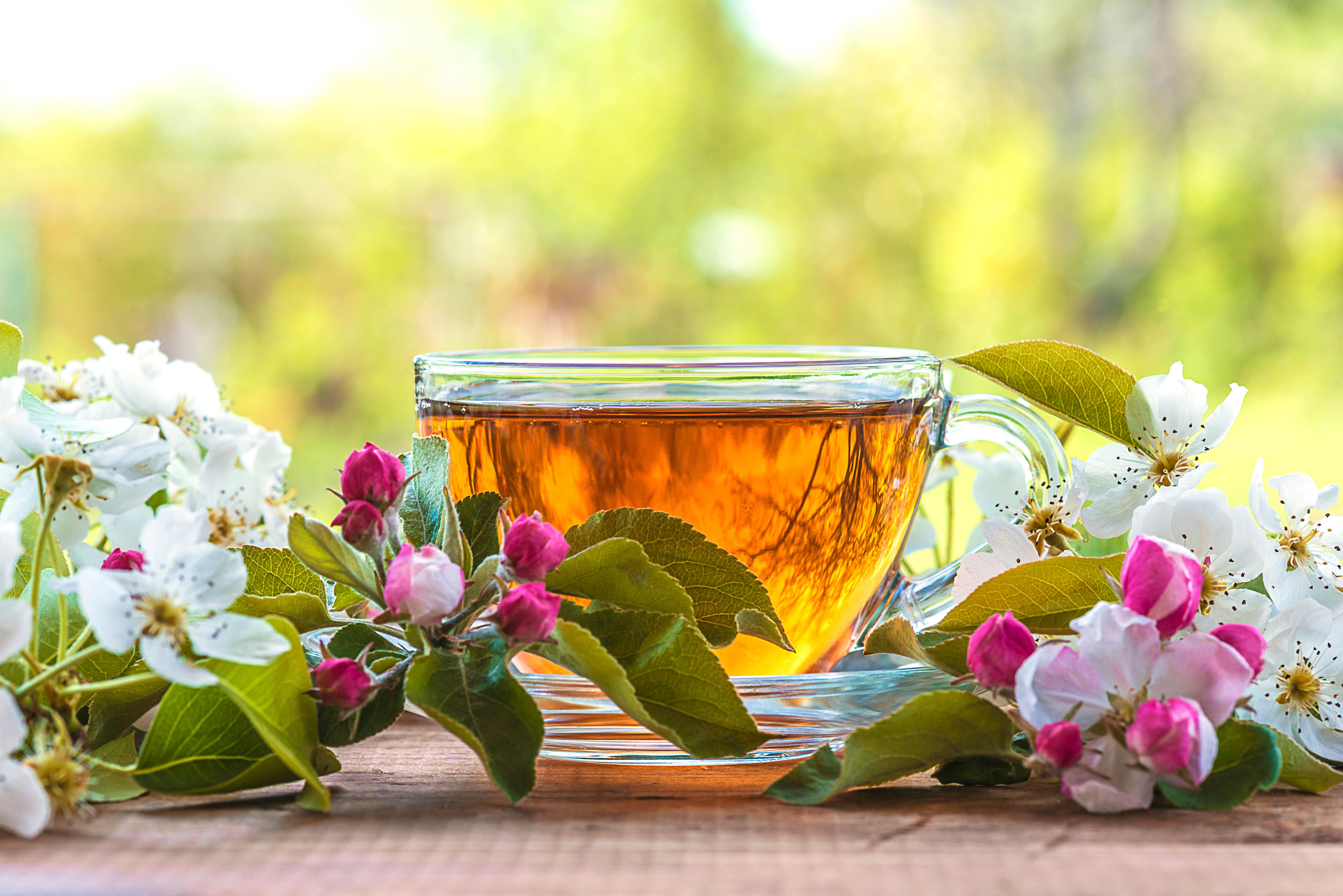 spring afternoon tea