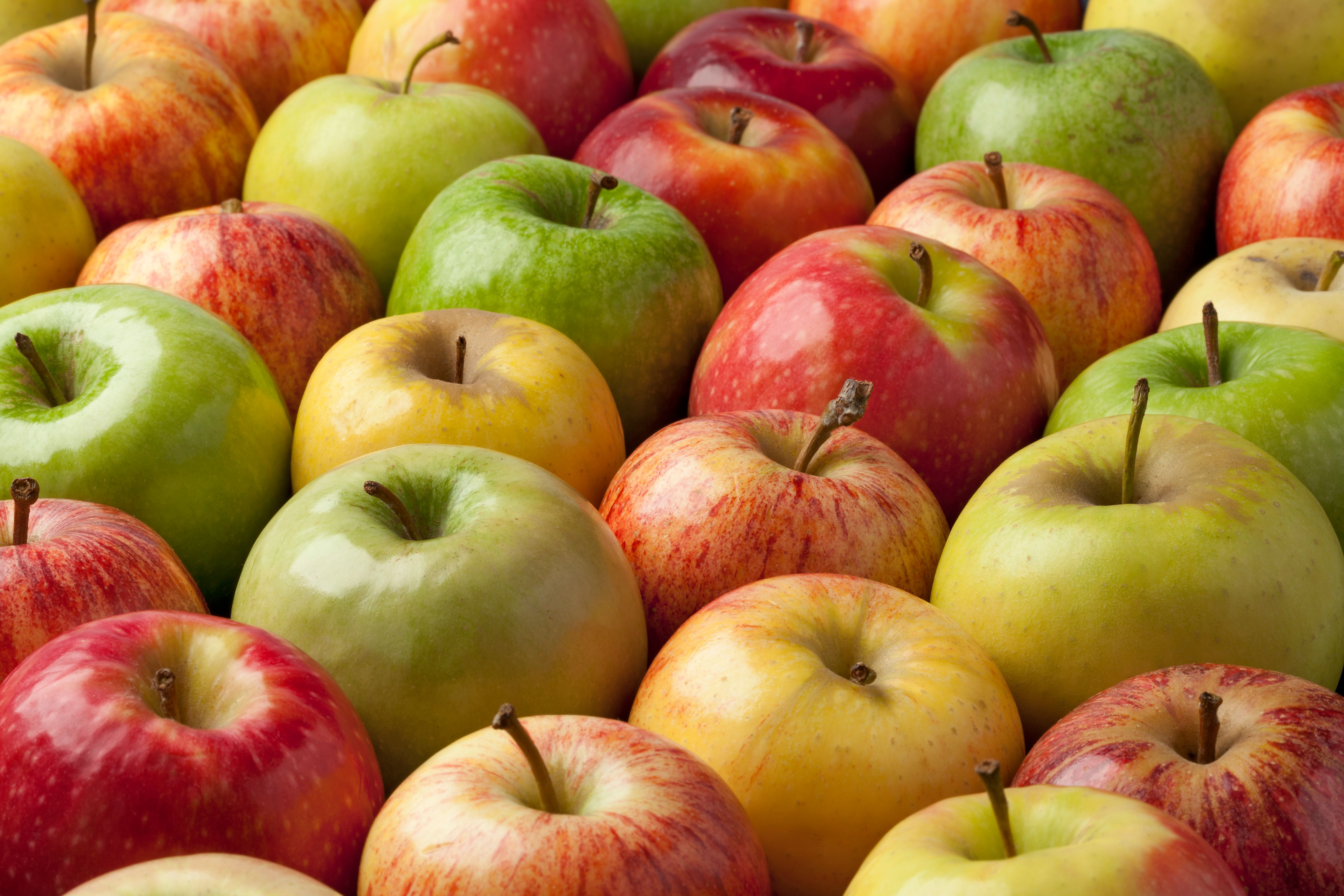apple varieties