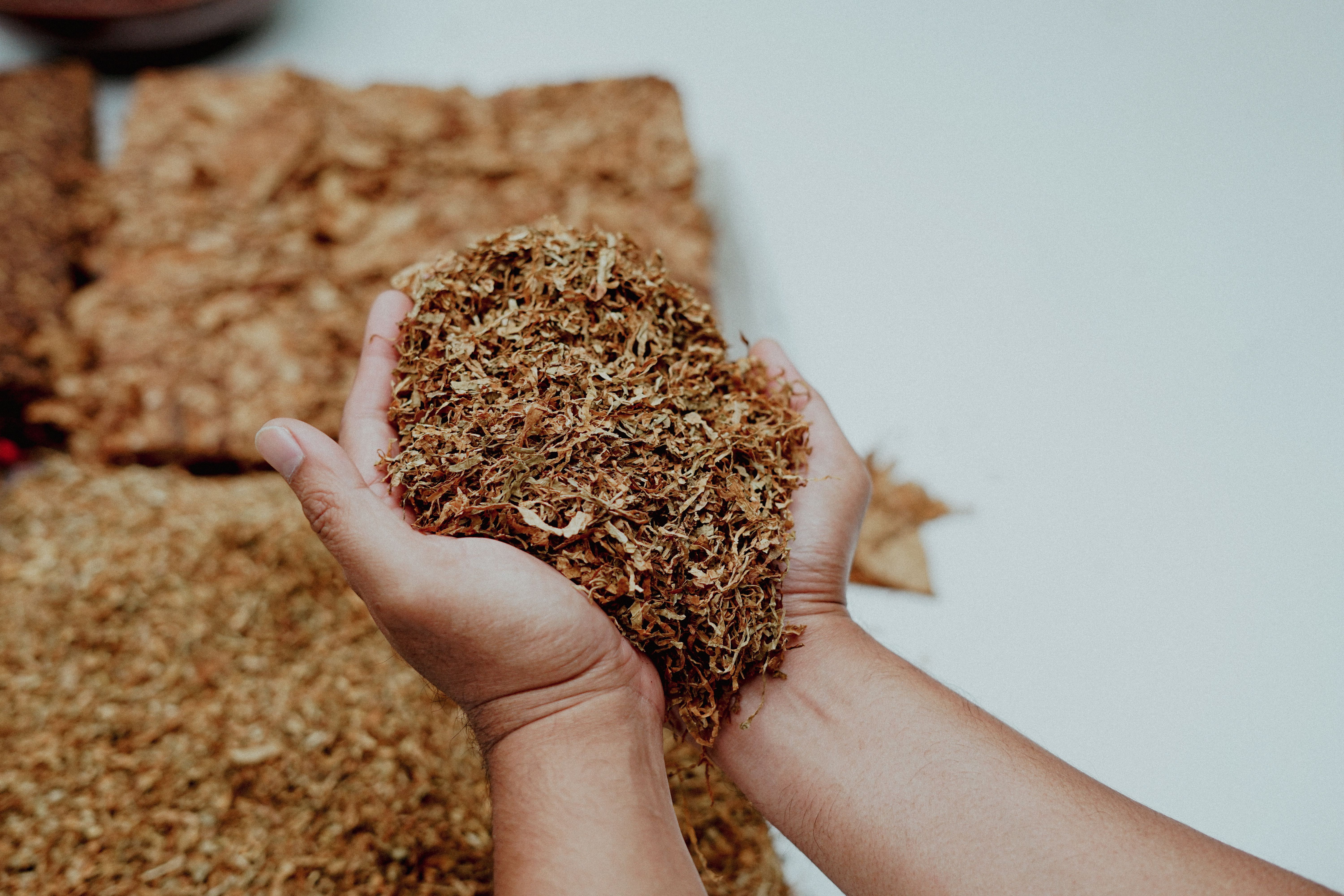 bulk tobacco purchase