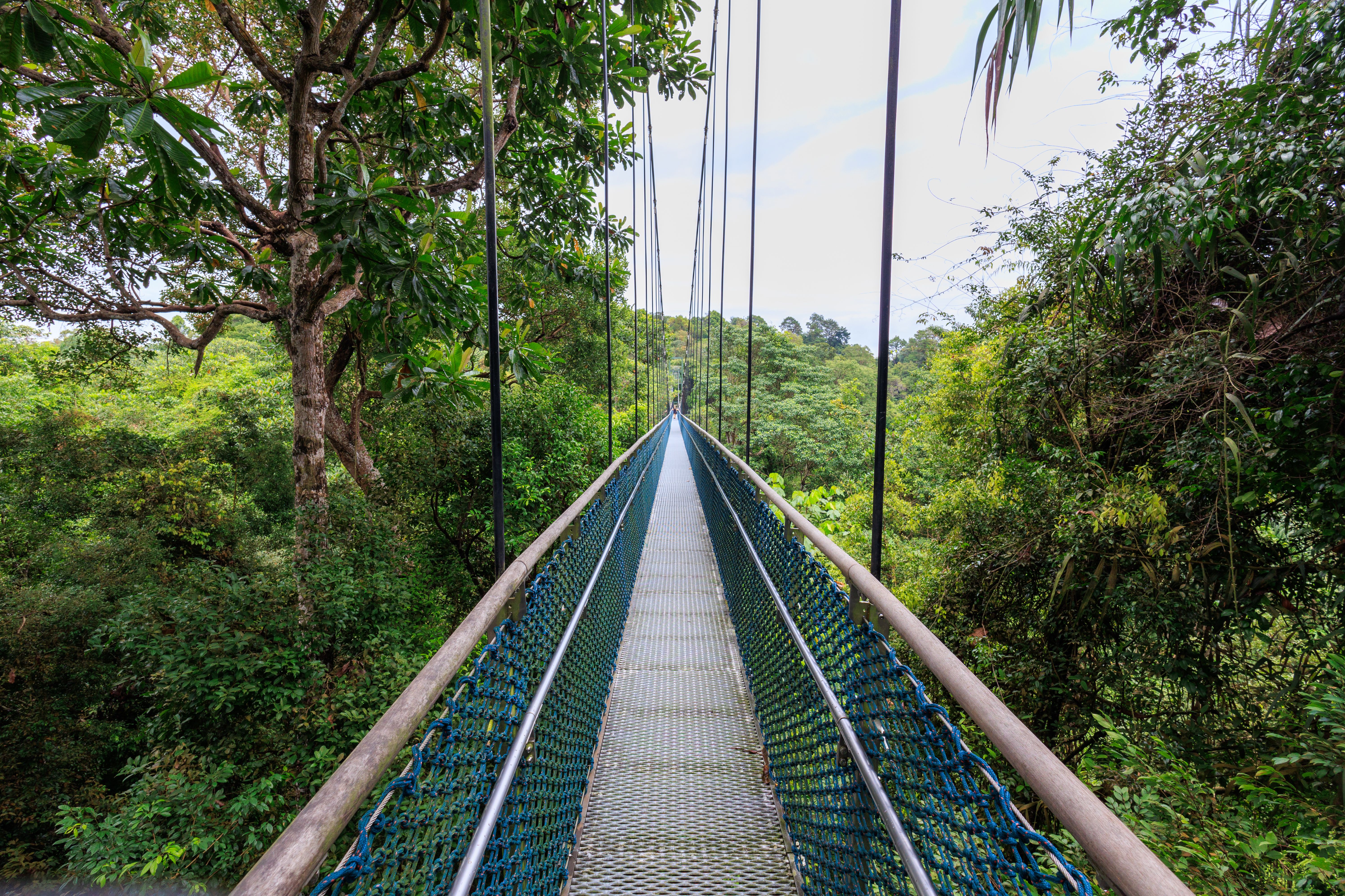 macritchie reservoir