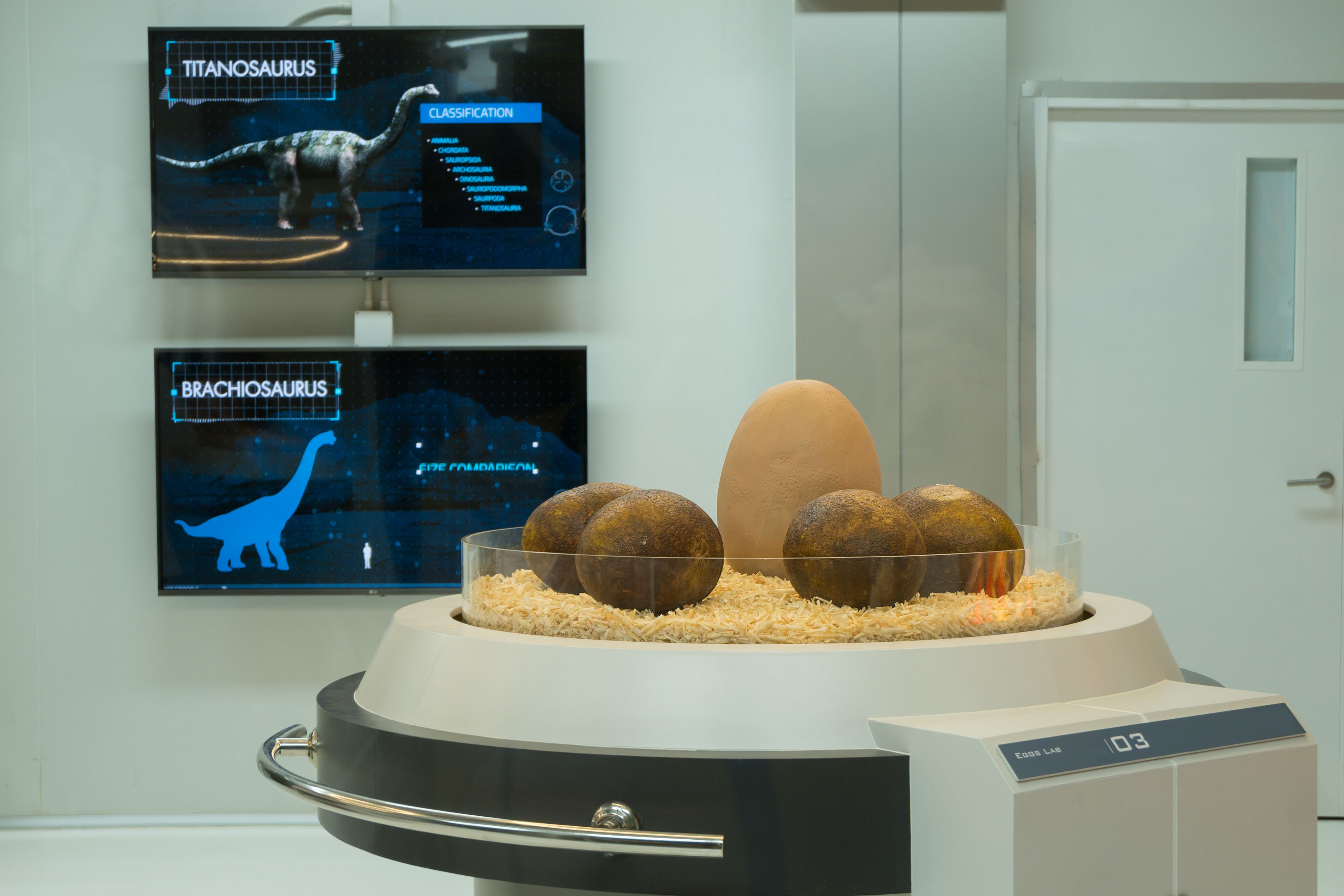 interactive dinosaur exhibit