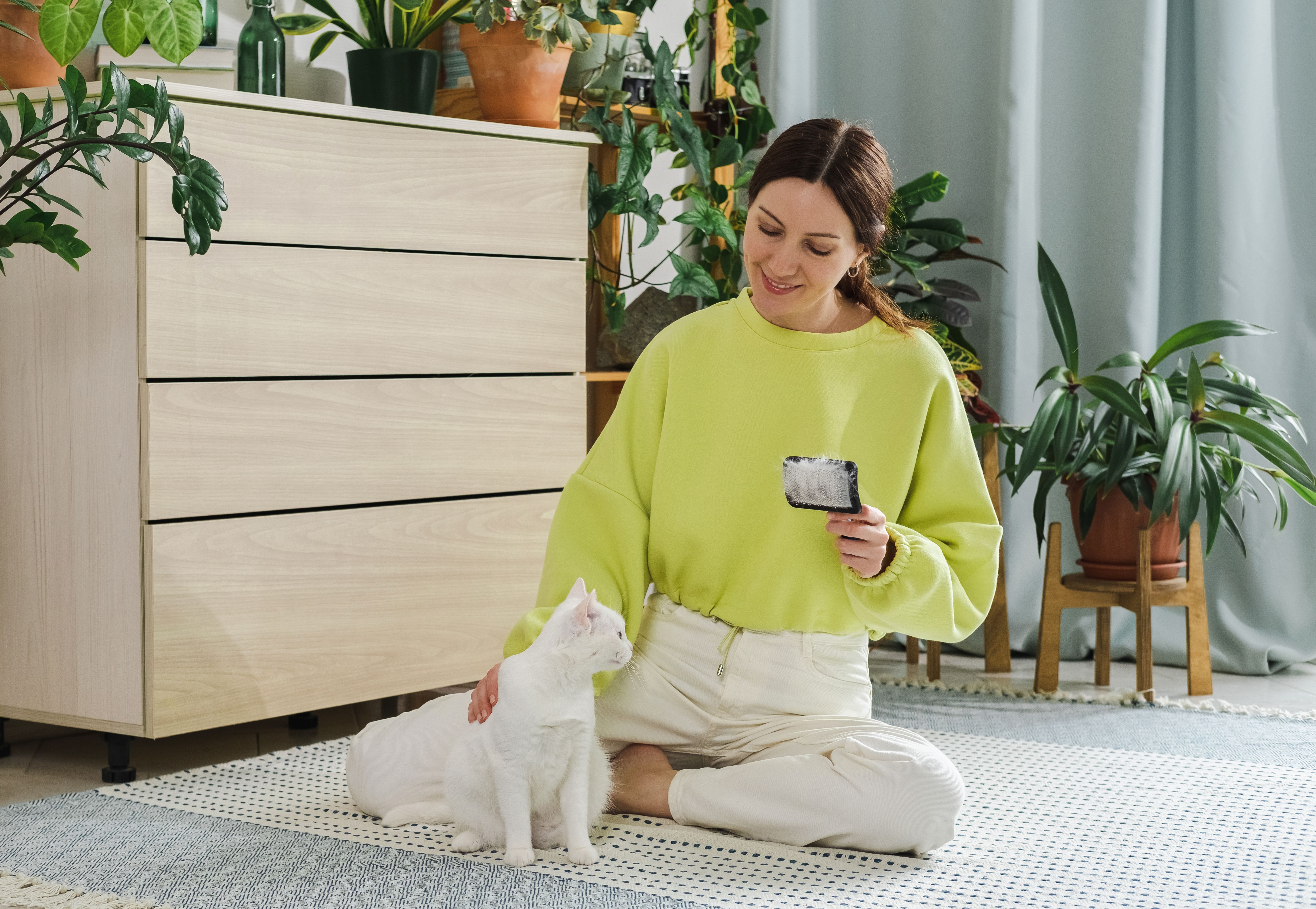 pet care