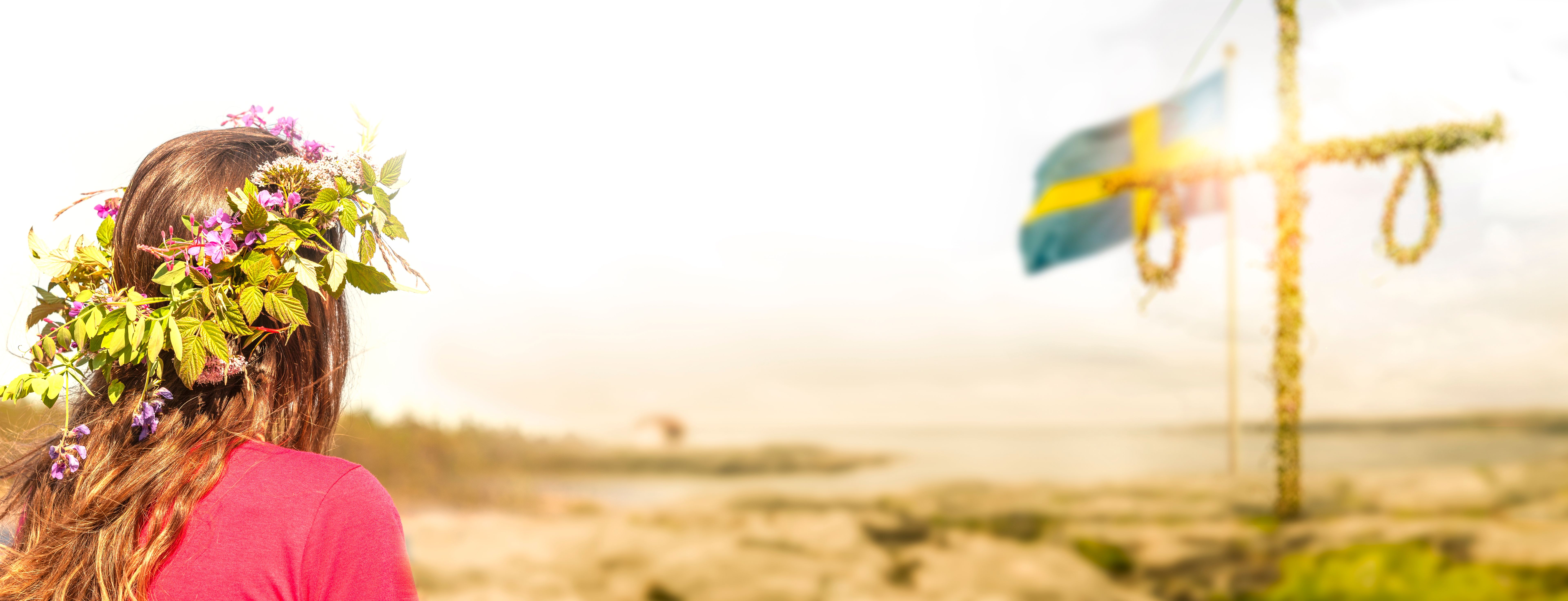 summer solstice celebration