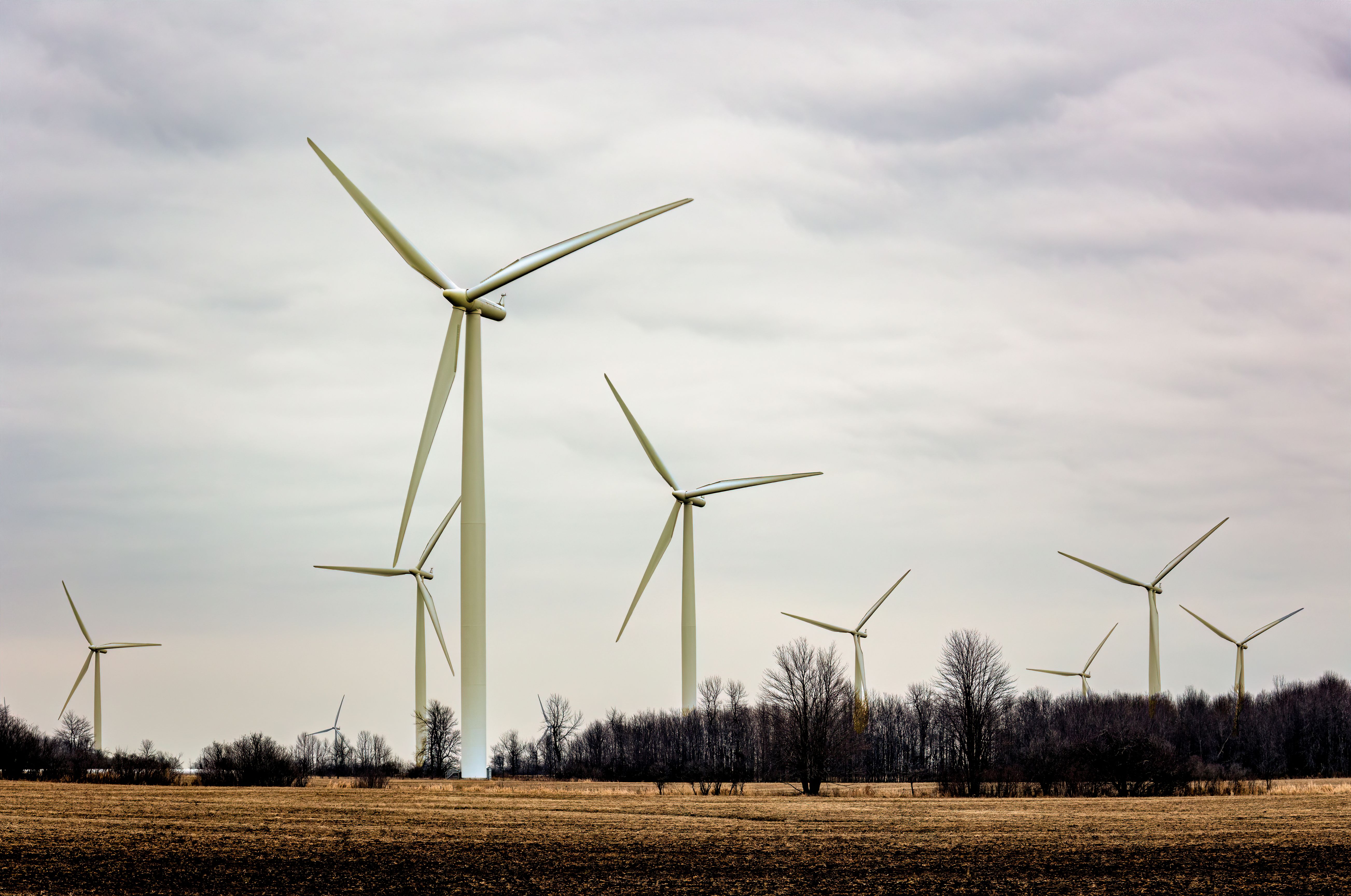 wind turbines farm