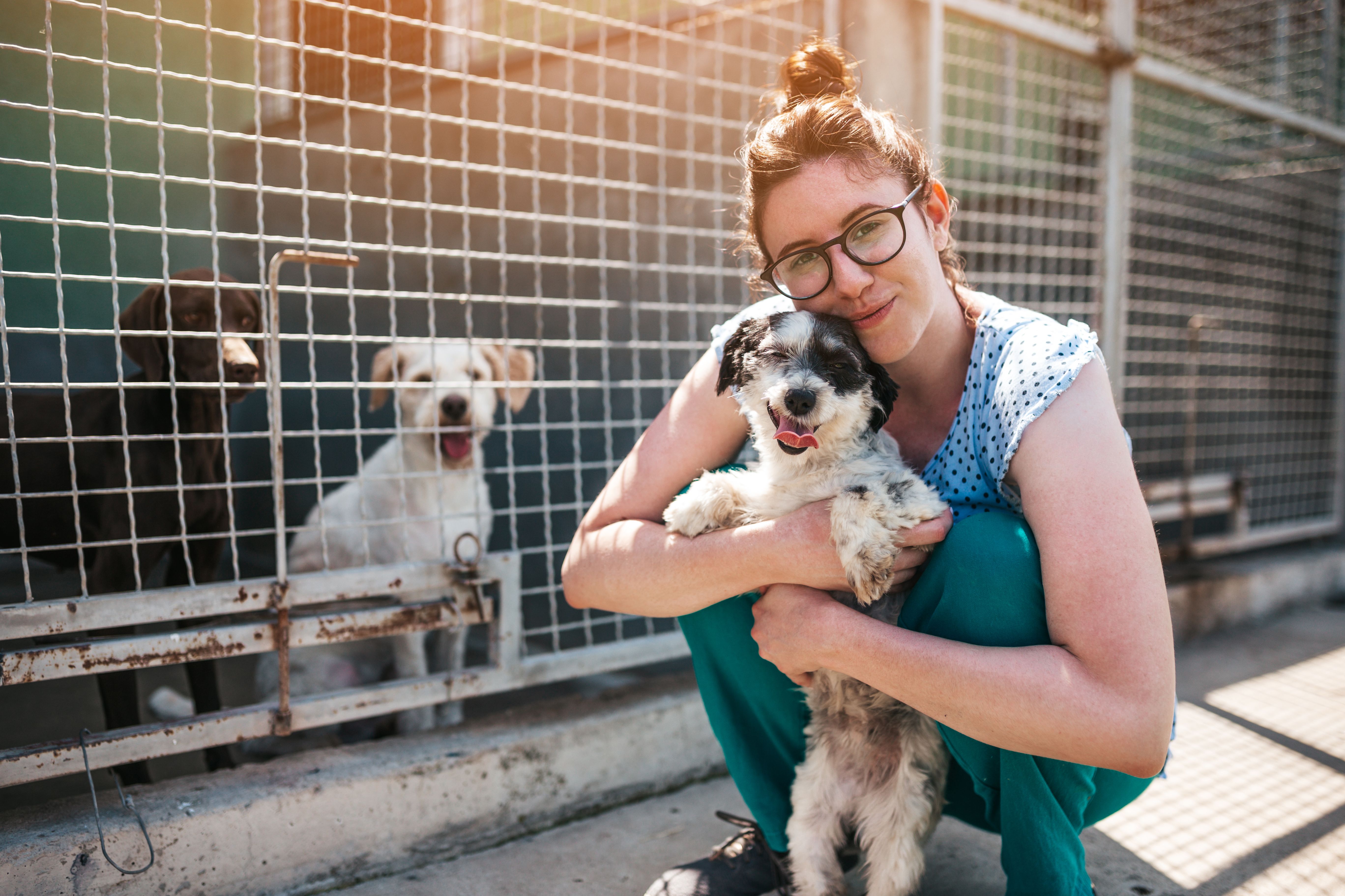 adoption benefits