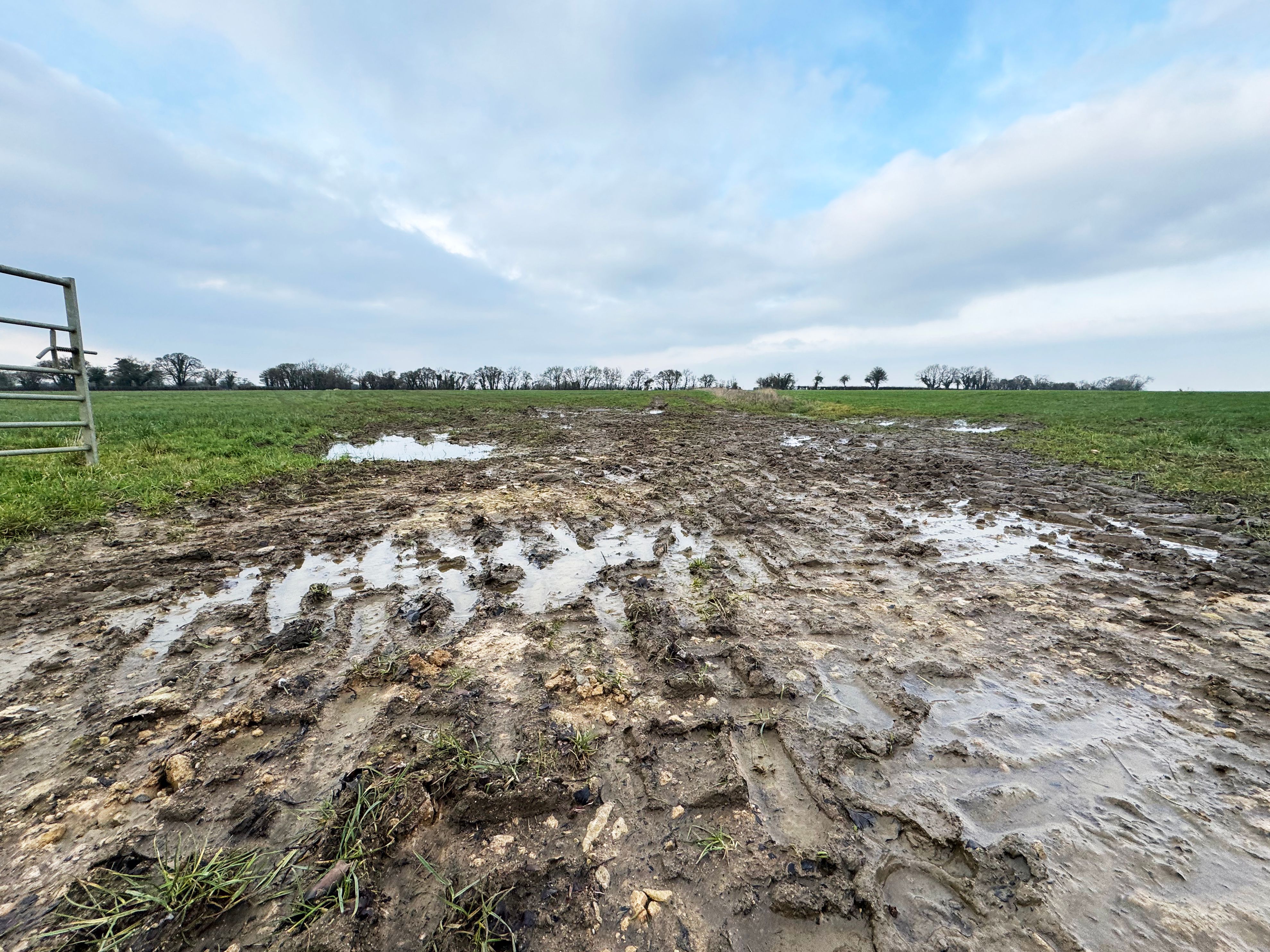 Water logged field on a farm
