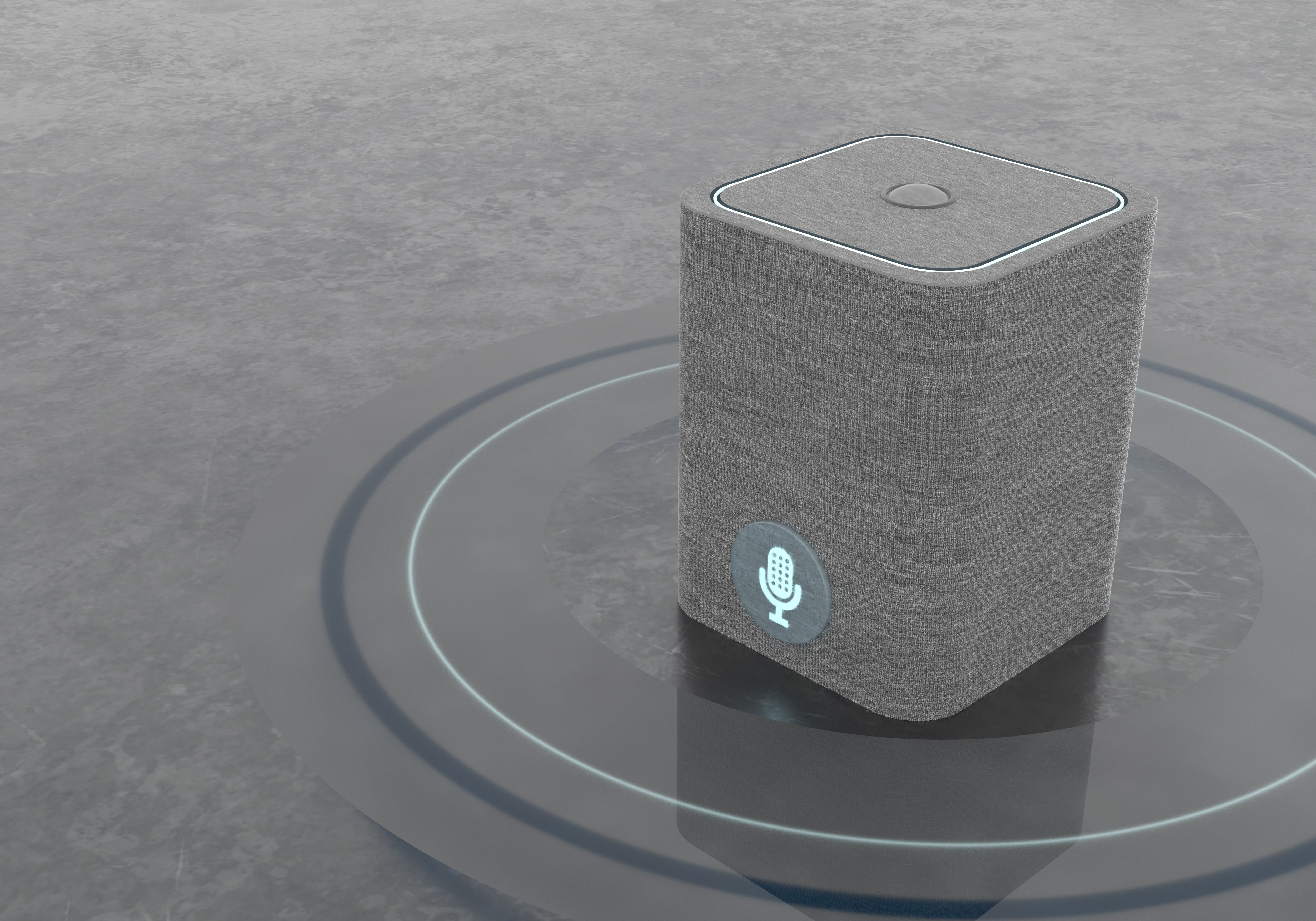 voice activated assistant